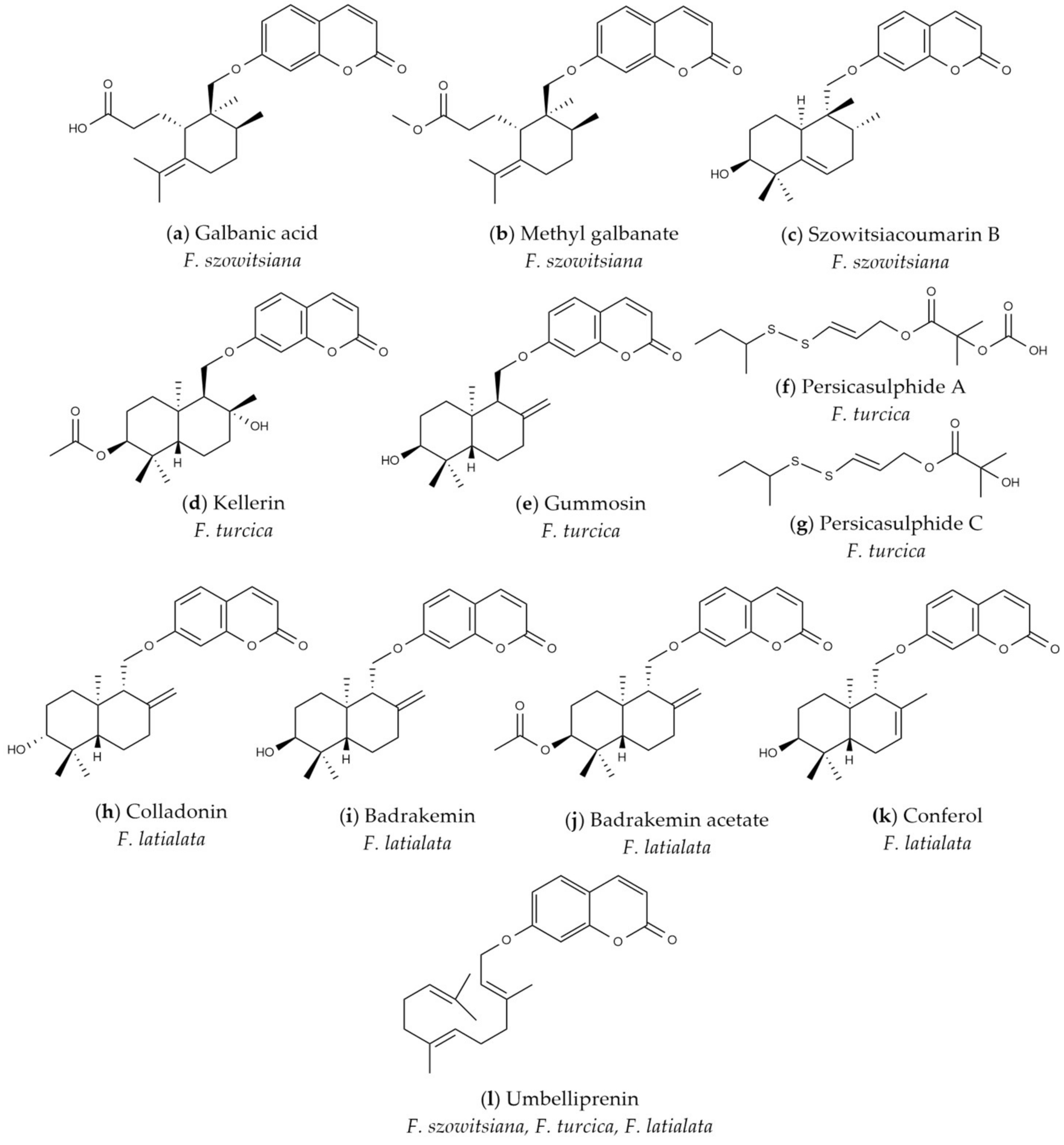 Horticulturae 09 00144 g008