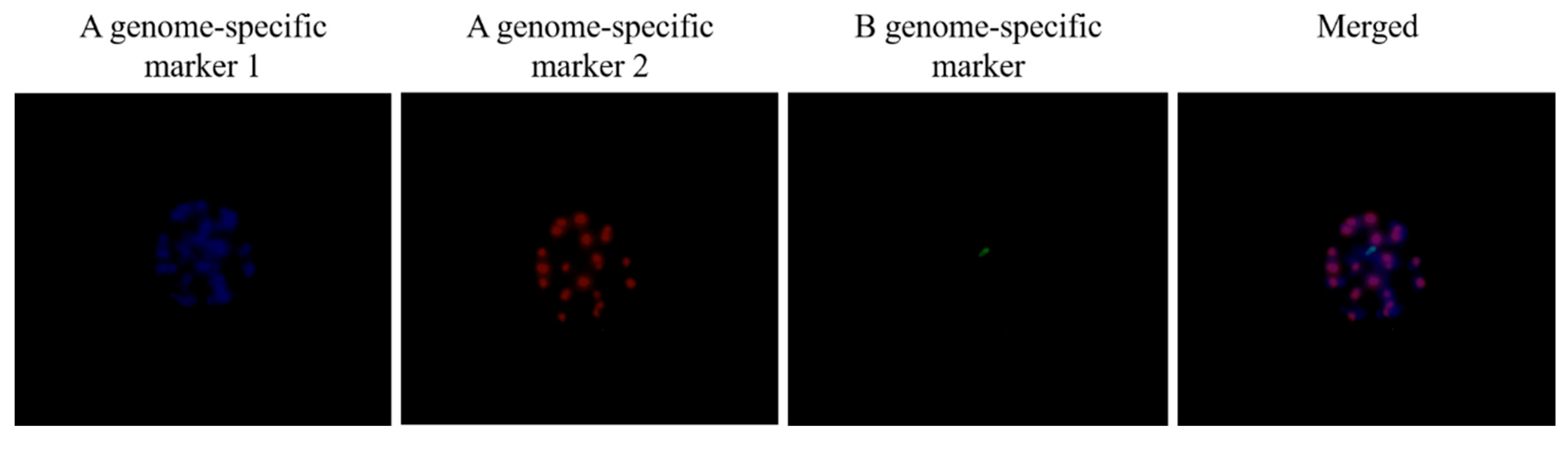 Horticulturae 09 00146 g003 Horticulturae 09 00146 g003