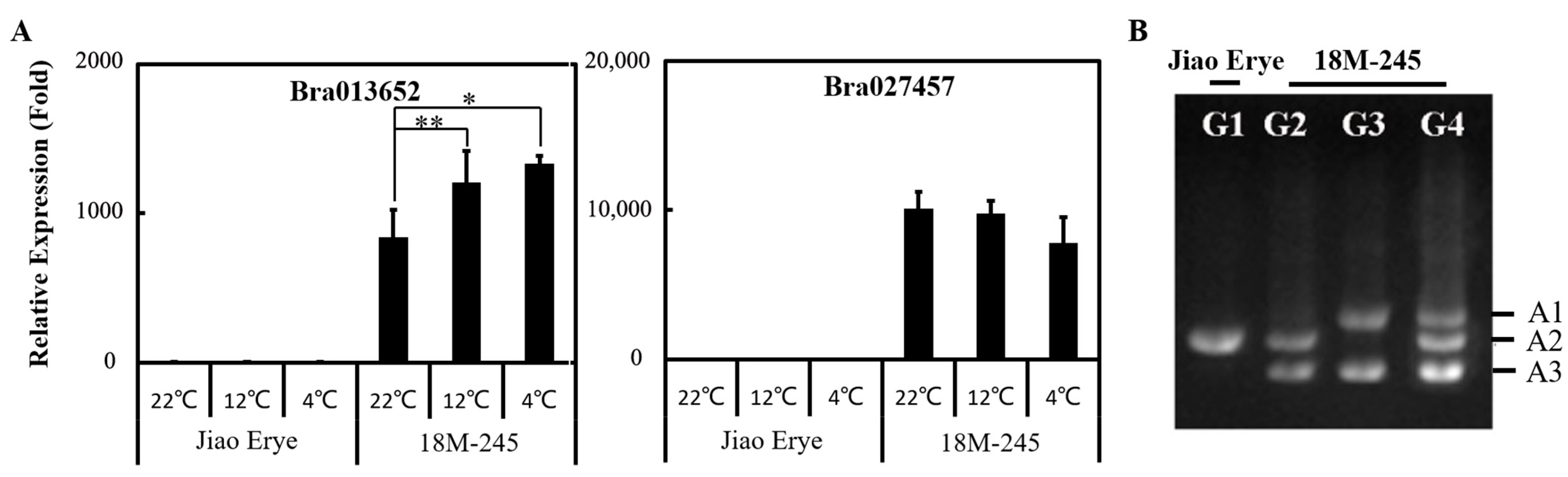Horticulturae 09 00146 g004 Horticulturae 09 00146 g004