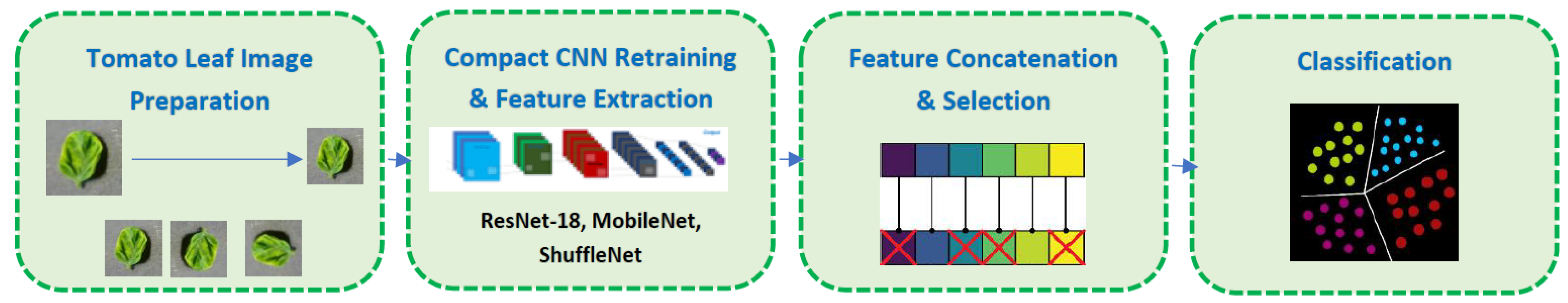 Horticulturae 09 00149 g002 Horticulturae 09 00149 g002
