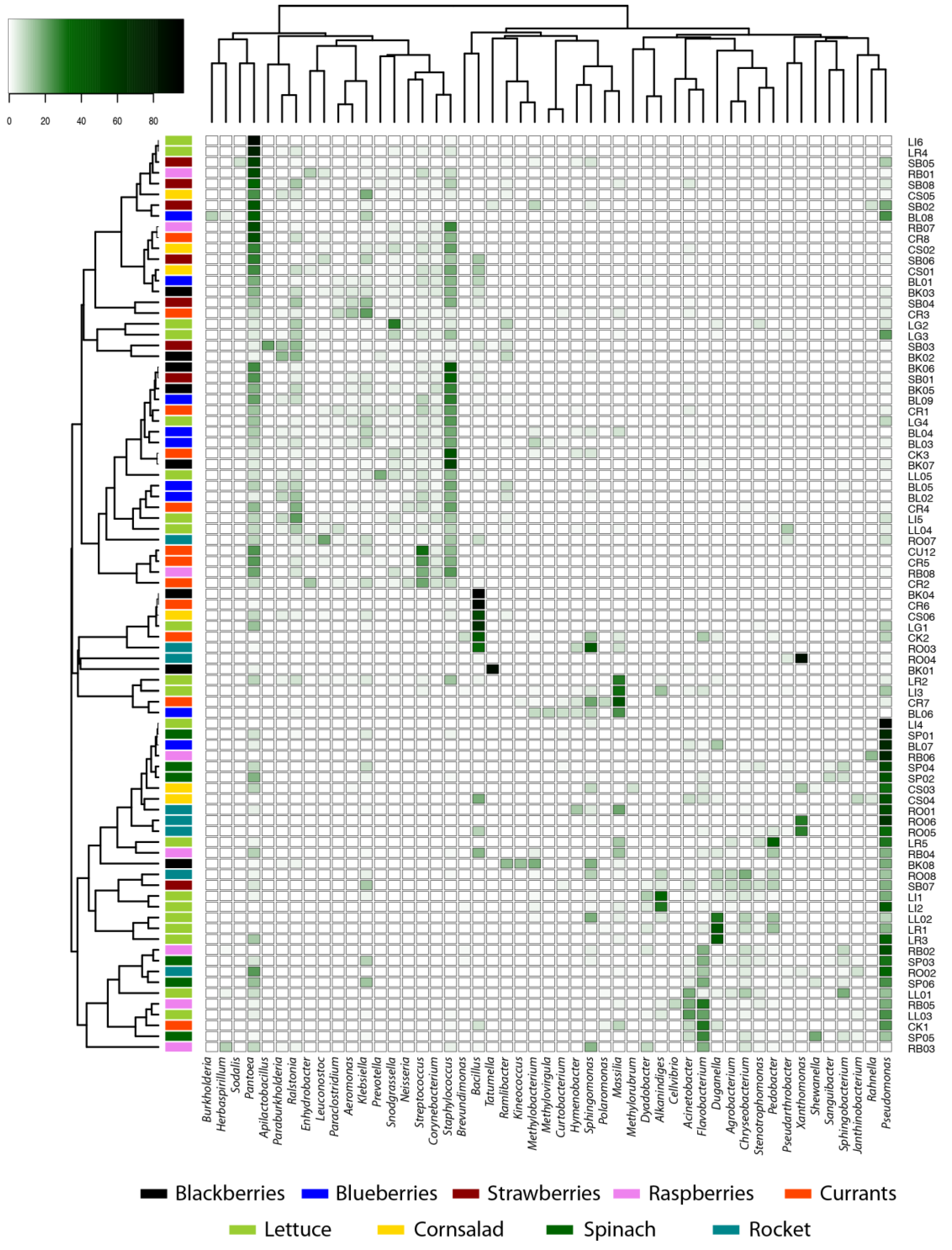 Horticulturae 09 00150 g002 Horticulturae 09 00150 g002