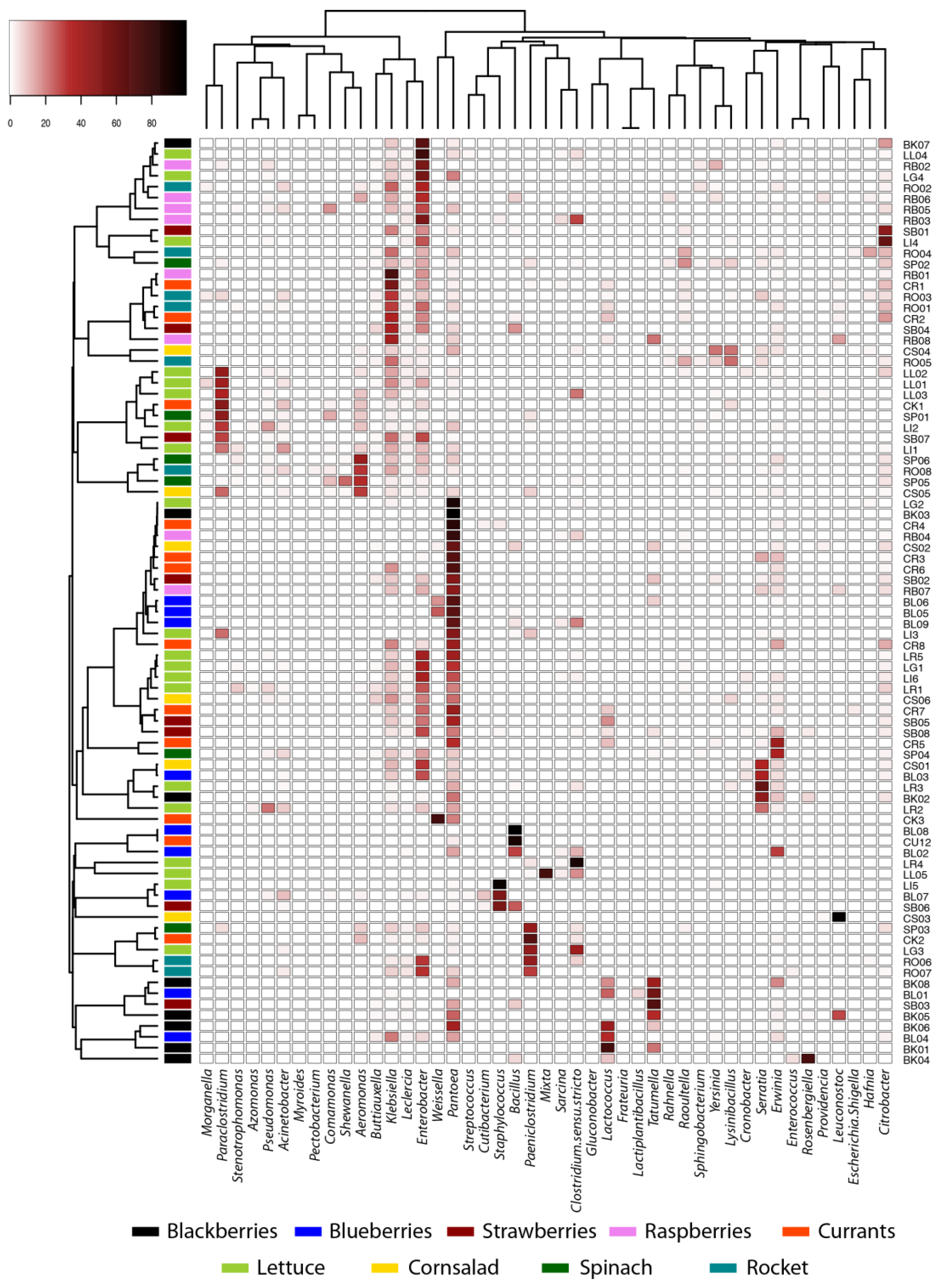 Horticulturae 09 00150 g004 Horticulturae 09 00150 g004