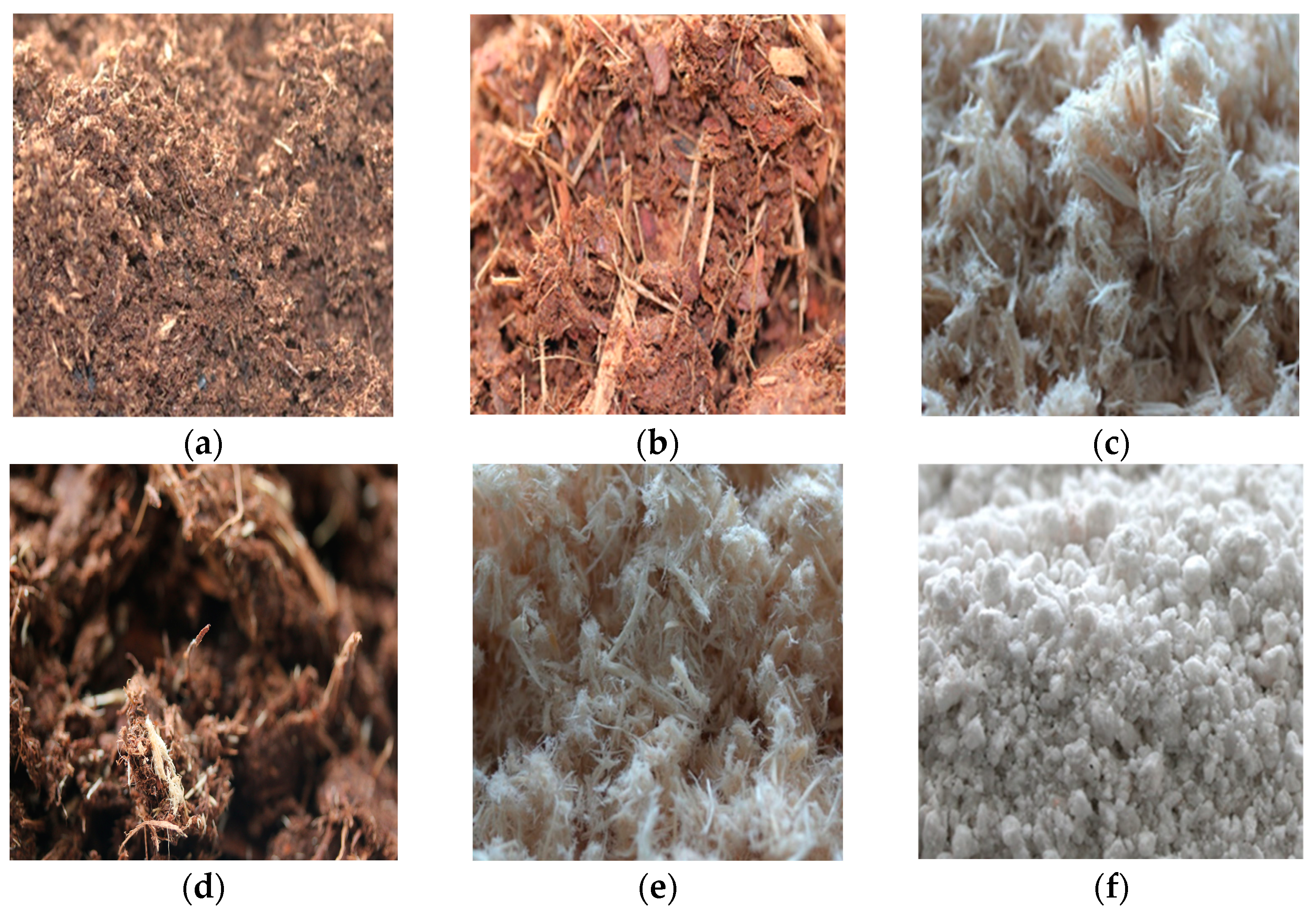 Horticulturae 09 00151 g001 Horticulturae 09 00151 g001