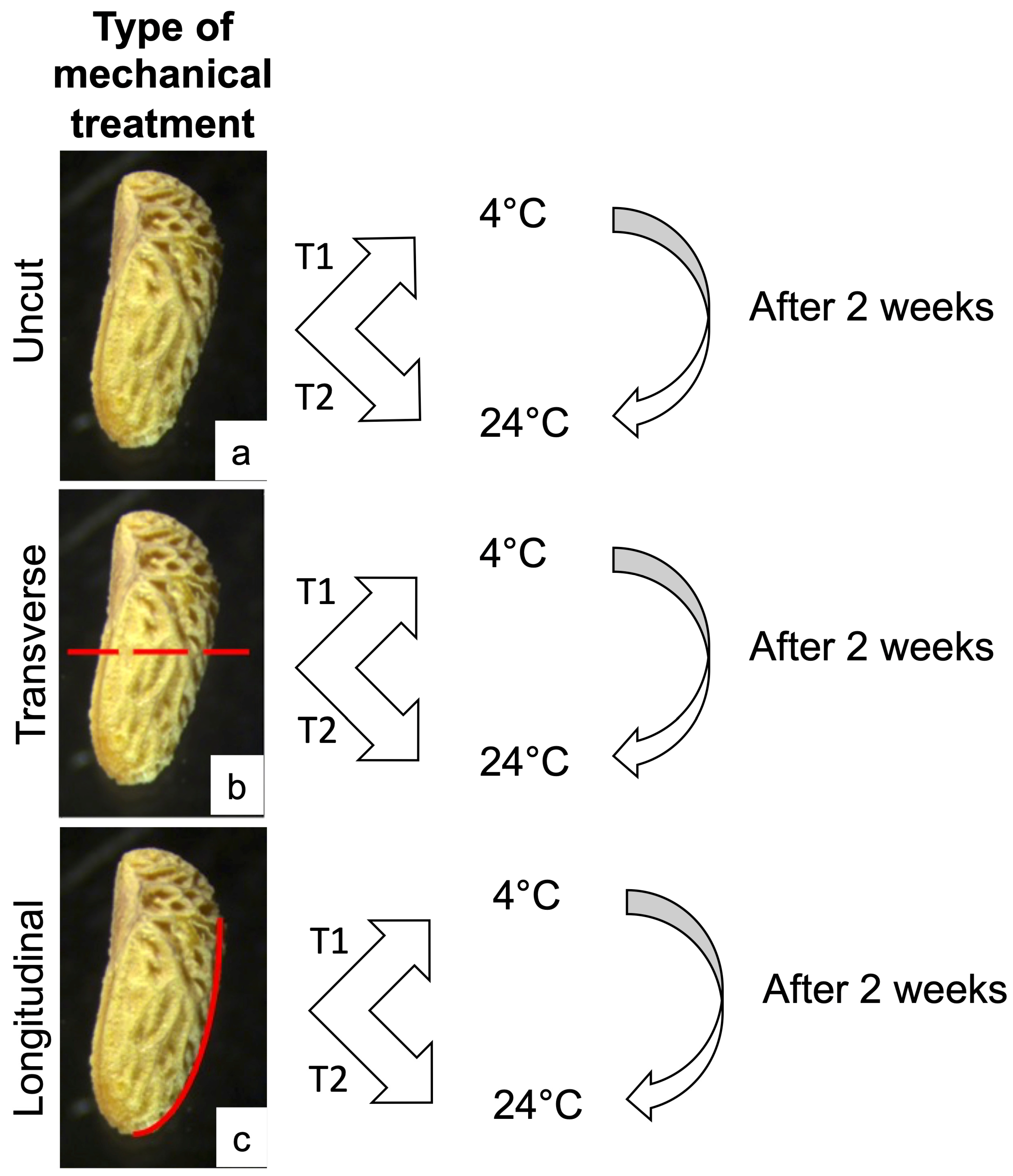 Horticulturae 09 00153 g001 Horticulturae 09 00153 g001