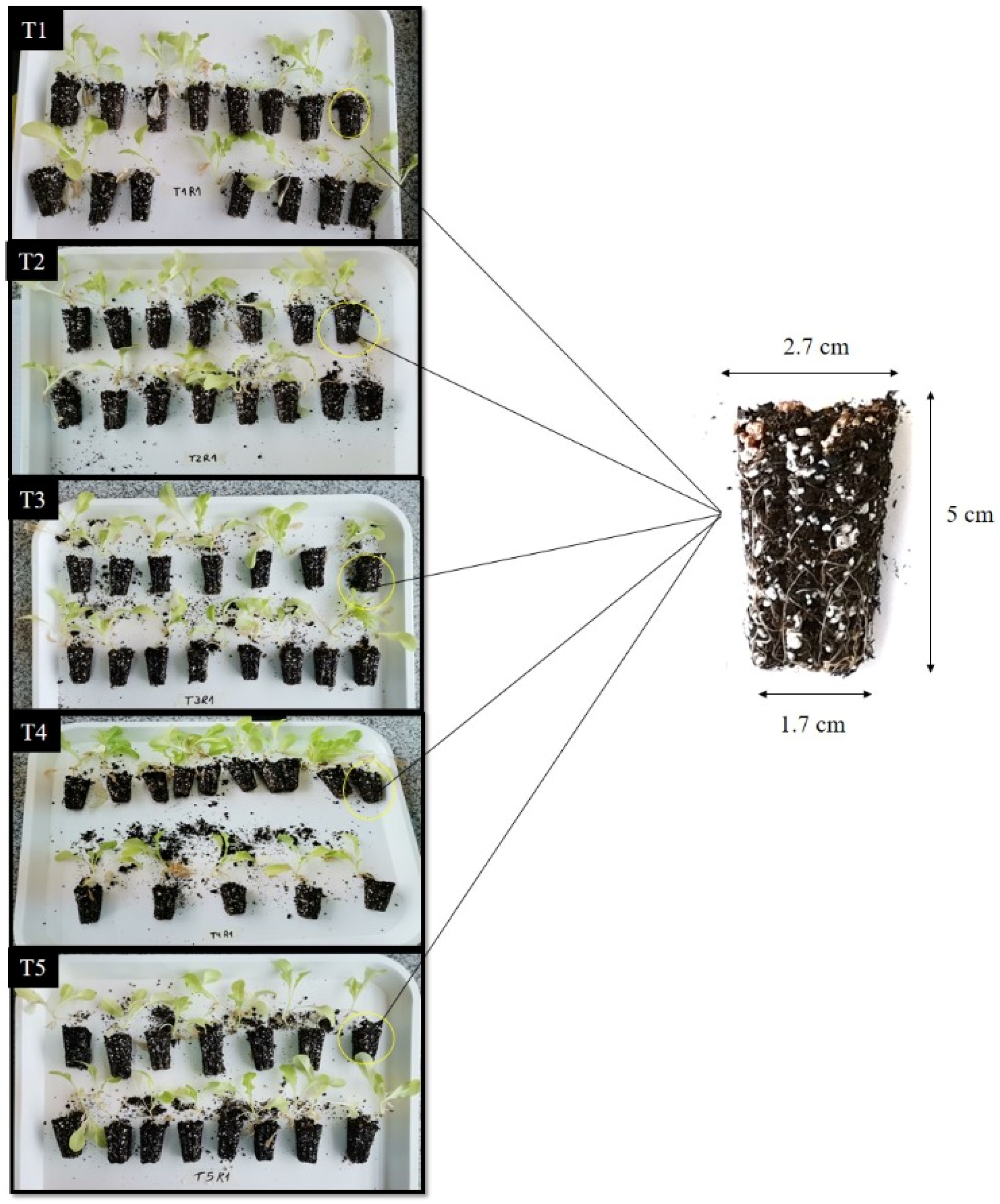 2271px x 2735px - Horticulturae | Free Full-Text | Evaluation of Compost and Biochar as  Partial Substitutes of Peat in Growing Media and Their Influence in  Microbial Counts, Enzyme Activity and Lactuca sativa L. Seedling Growth