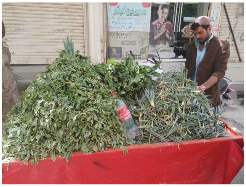 Horticulturae 09 00171 g003 Horticulturae 09 00171 g003