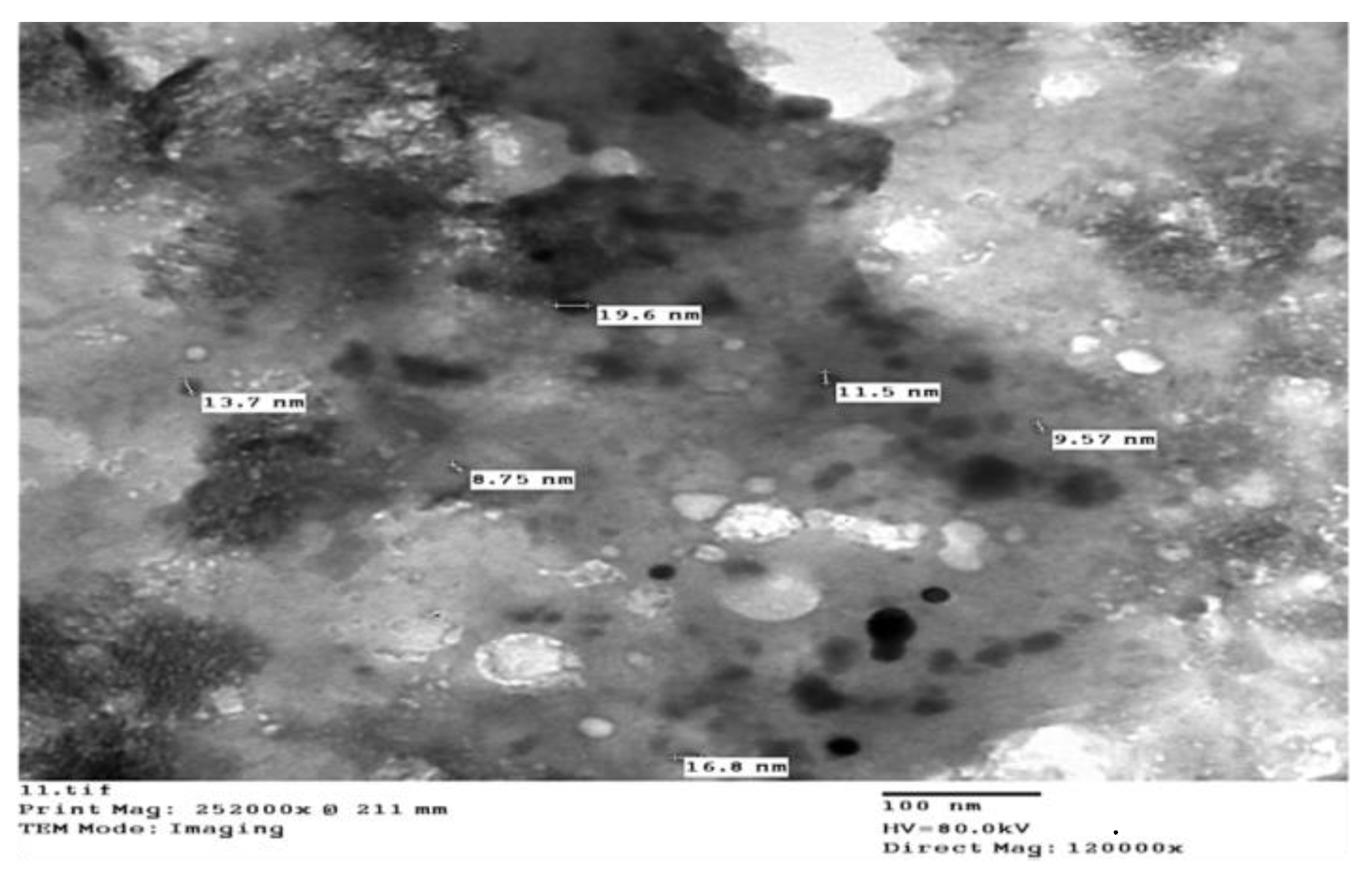 Horticulturae 09 00172 g001 Horticulturae 09 00172 g001