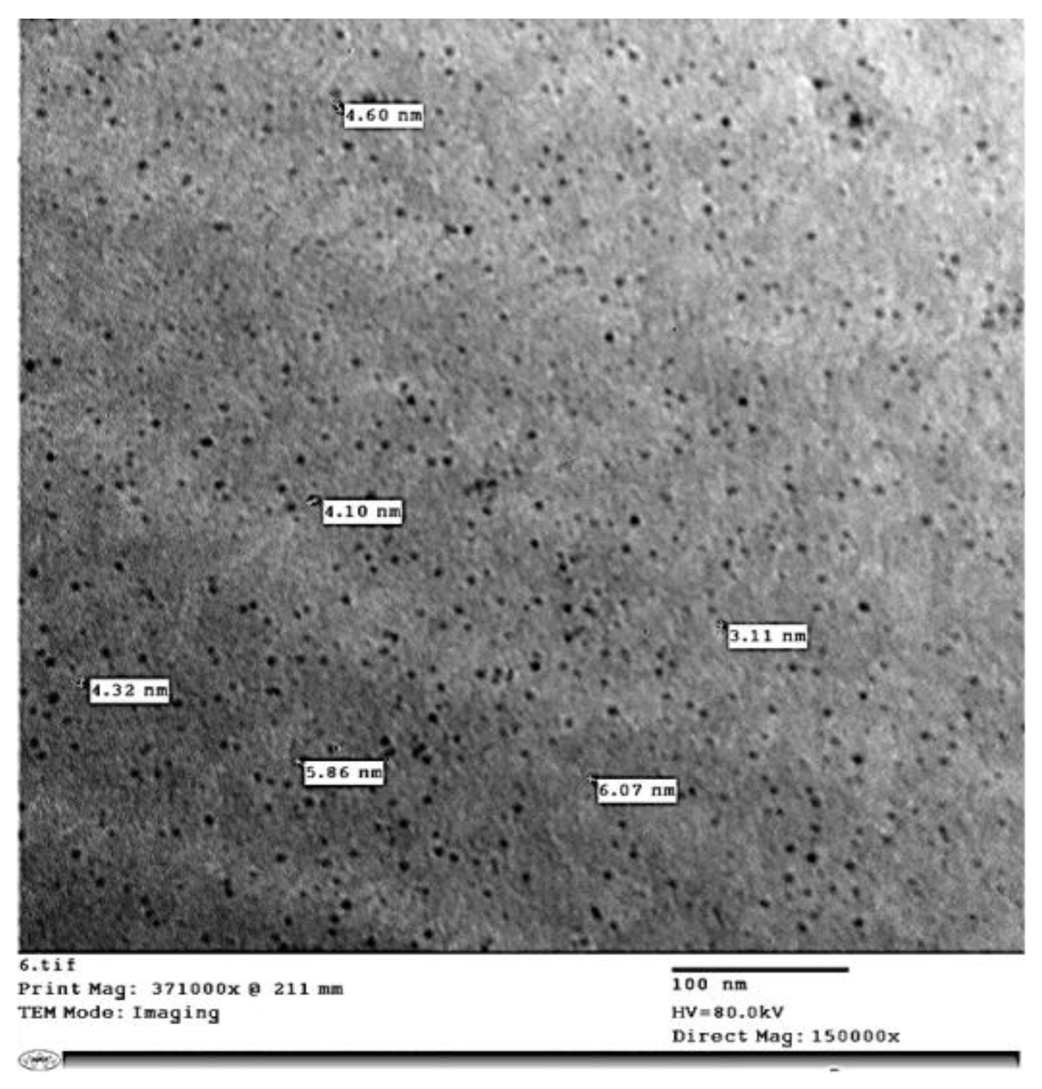 Horticulturae 09 00172 g002 Horticulturae 09 00172 g002