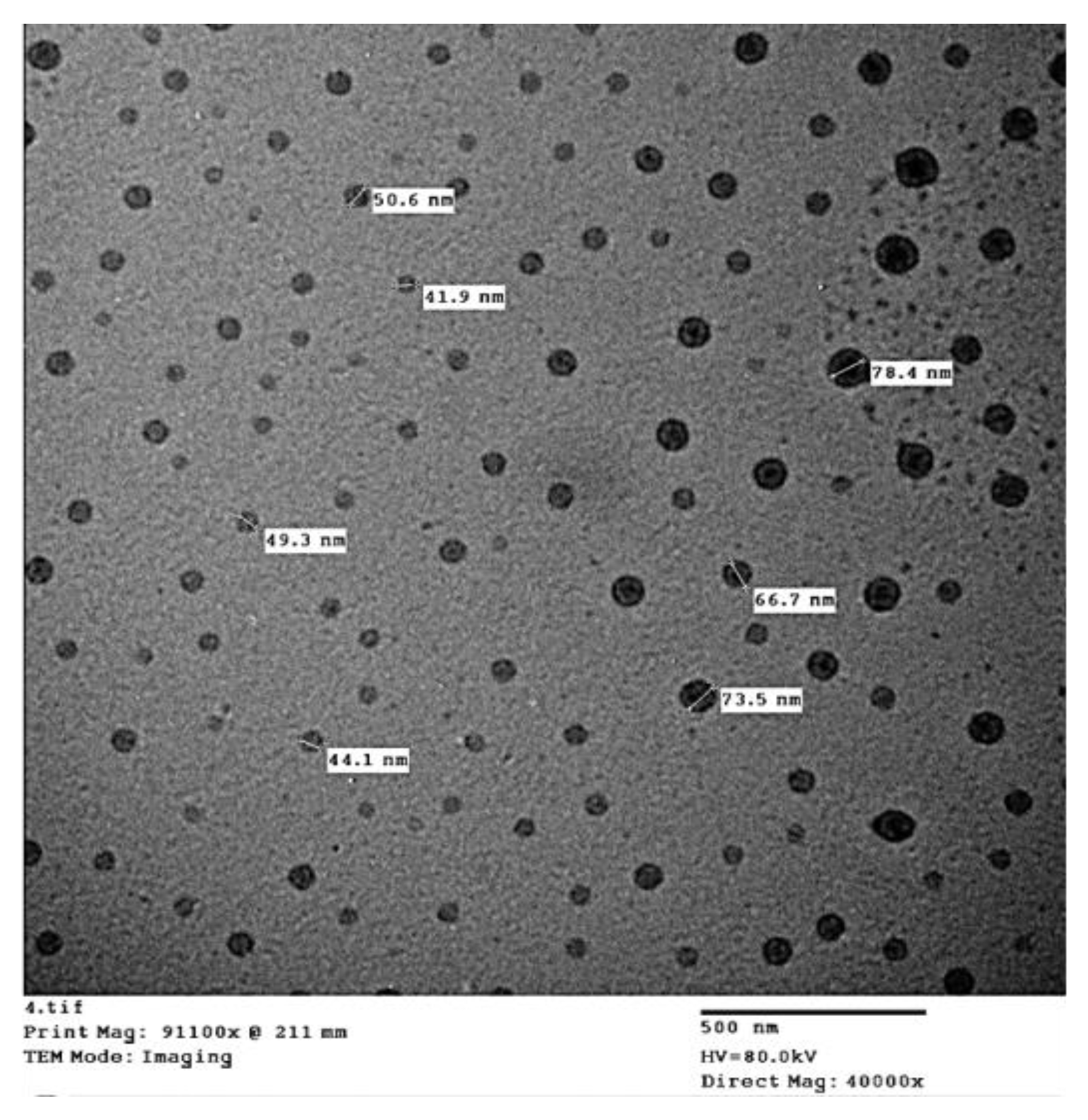 Horticulturae 09 00172 g003 Horticulturae 09 00172 g003
