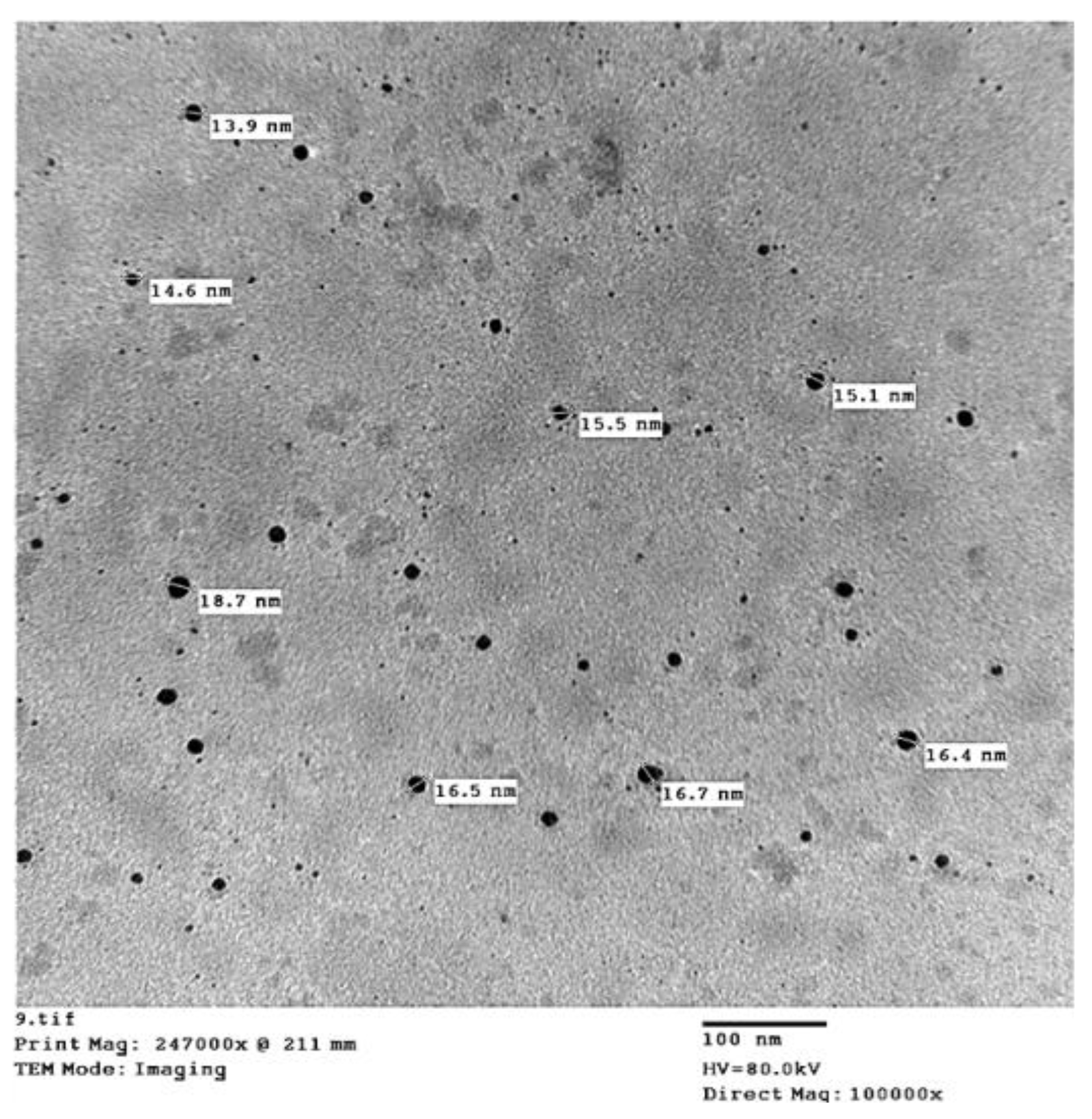 Horticulturae 09 00172 g004 Horticulturae 09 00172 g004