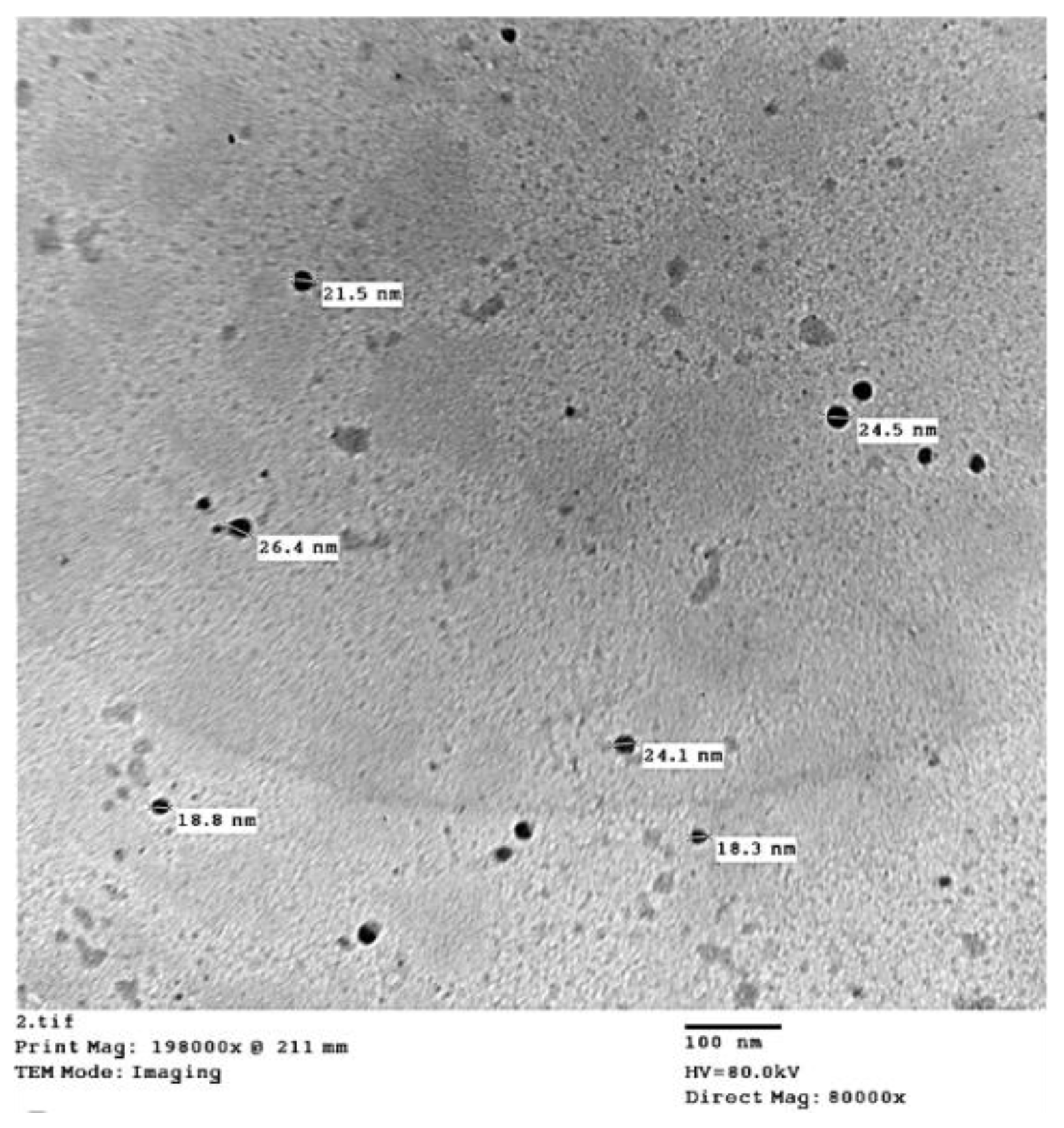 Horticulturae 09 00172 g005 Horticulturae 09 00172 g005