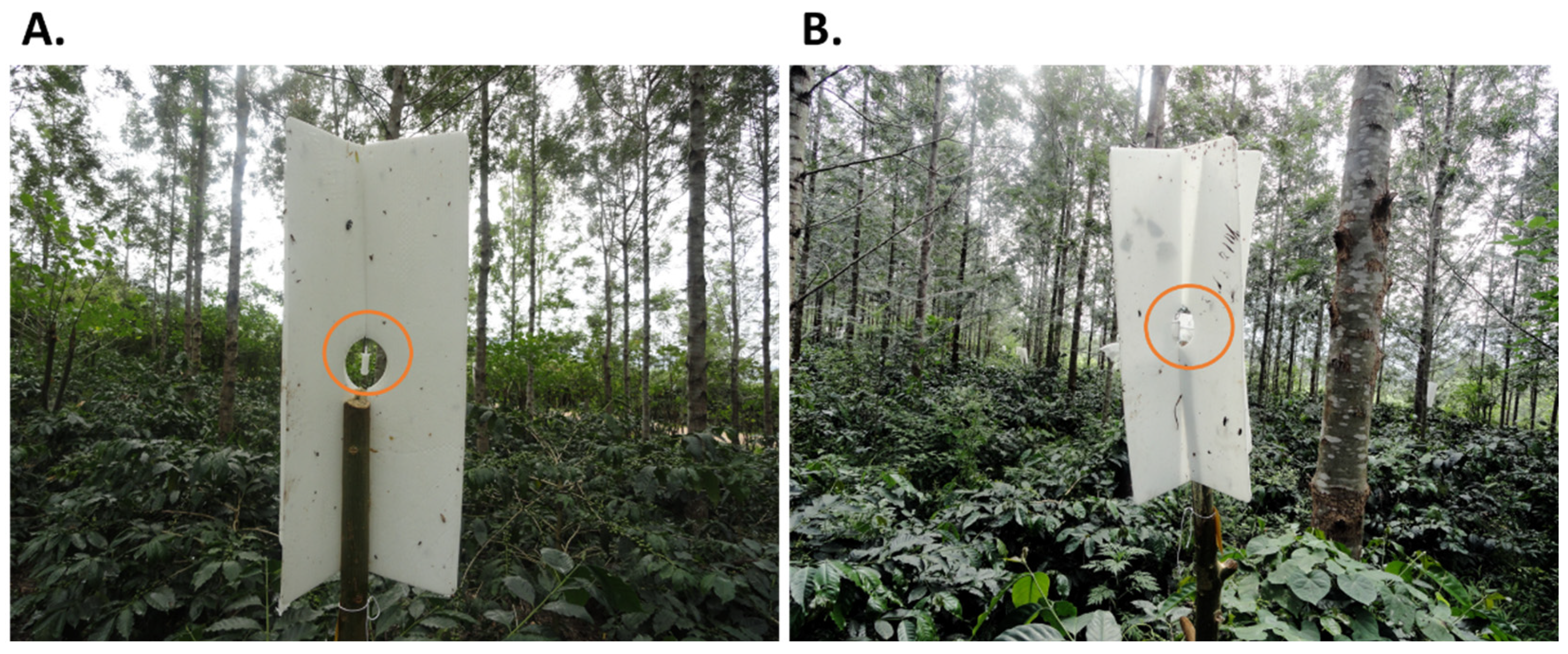 Horticulturae 09 00173 g001 Horticulturae 09 00173 g001