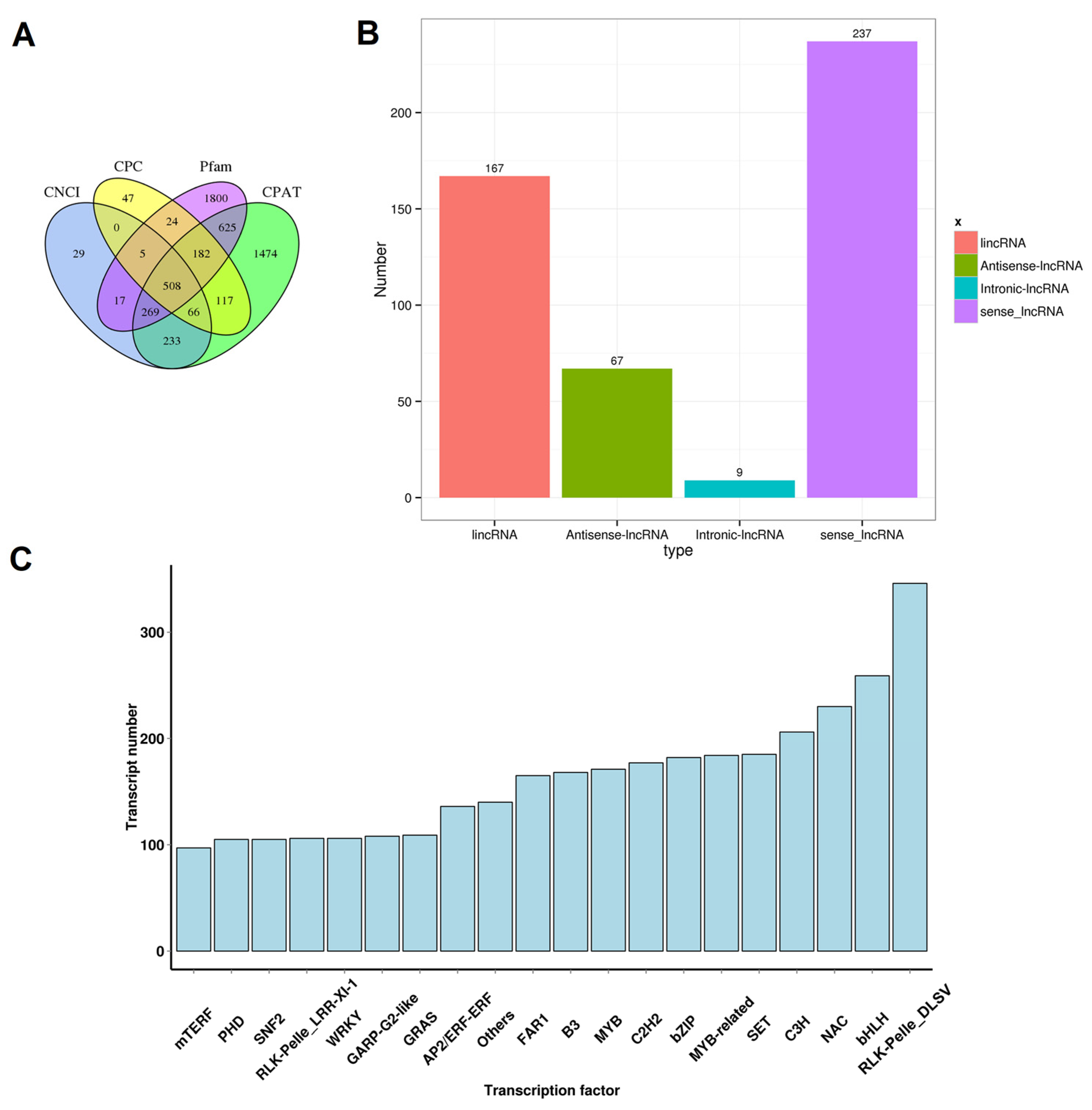 Horticulturae 09 00175 g002 Horticulturae 09 00175 g002