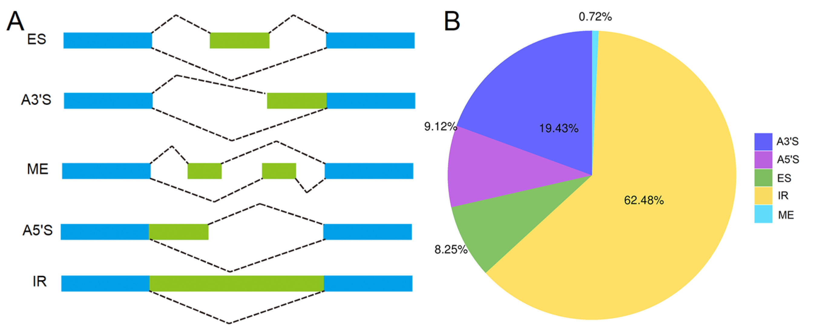 Horticulturae 09 00175 g003 Horticulturae 09 00175 g003