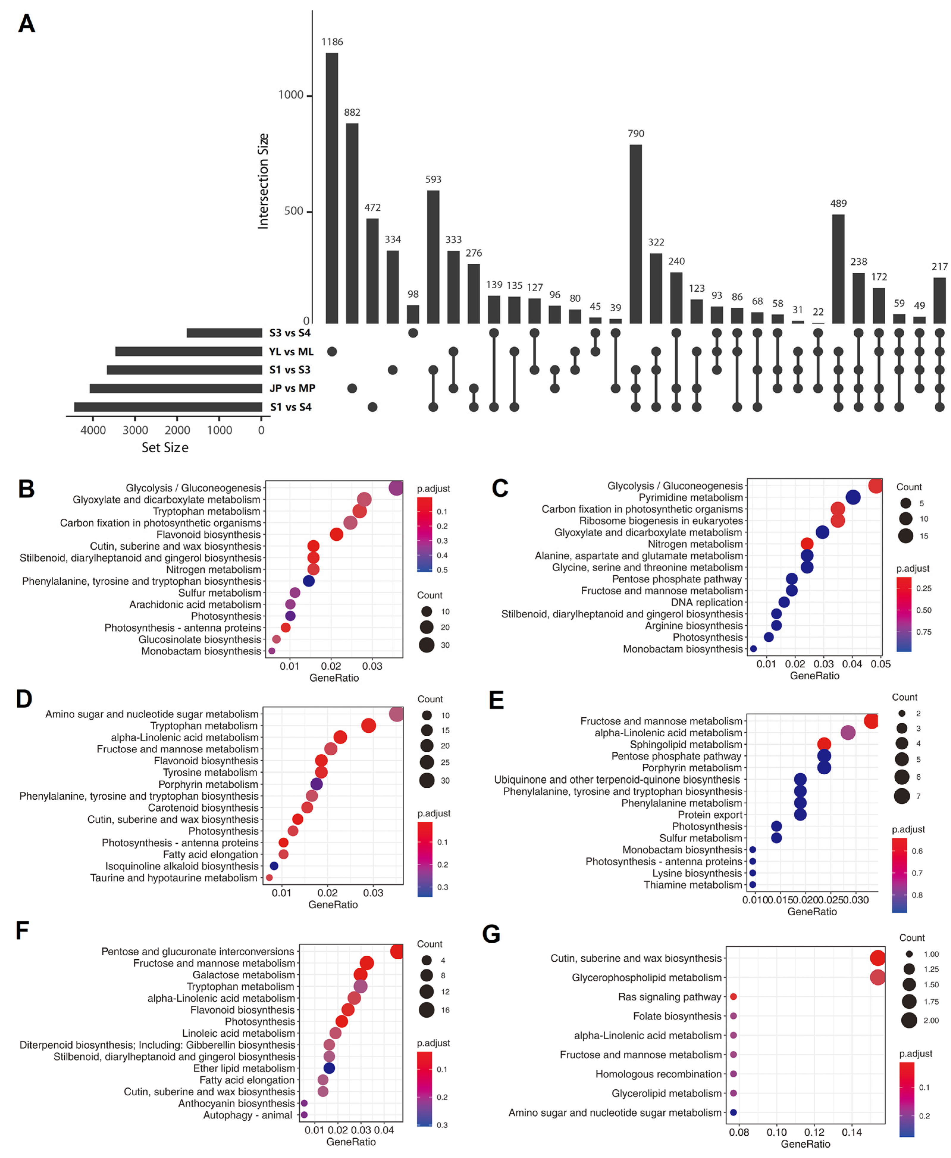 Horticulturae 09 00175 g006 Horticulturae 09 00175 g006