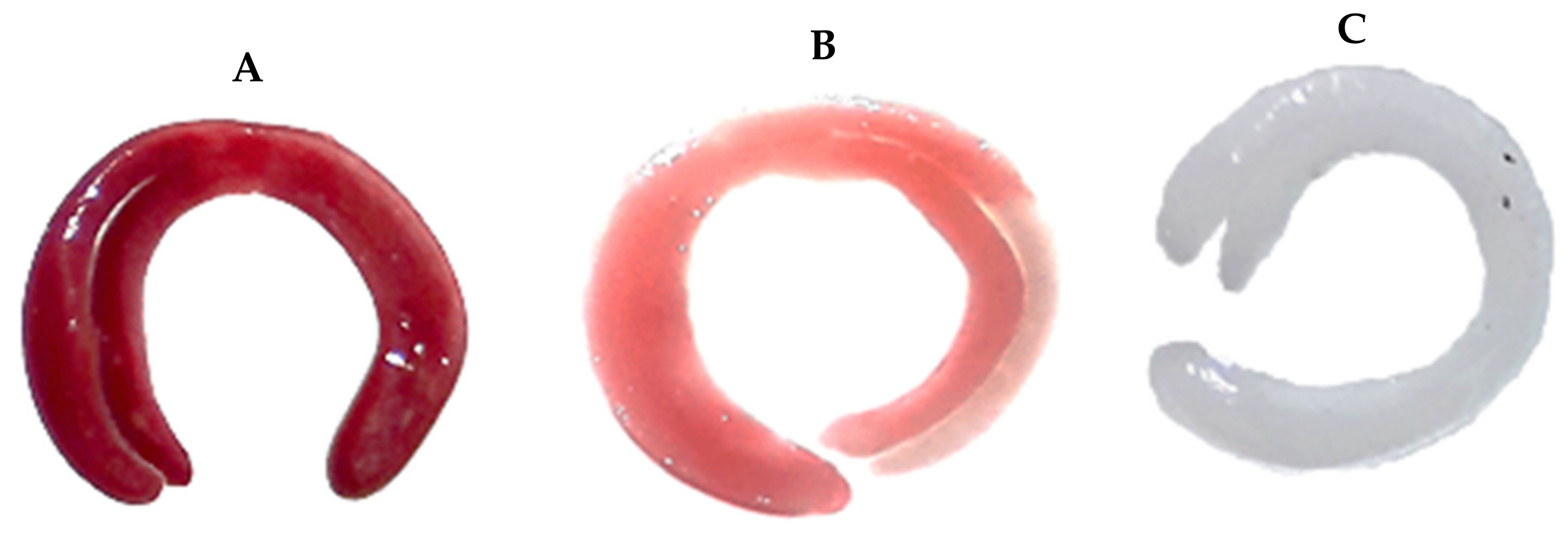 Horticulturae 09 00177 g005 Horticulturae 09 00177 g005