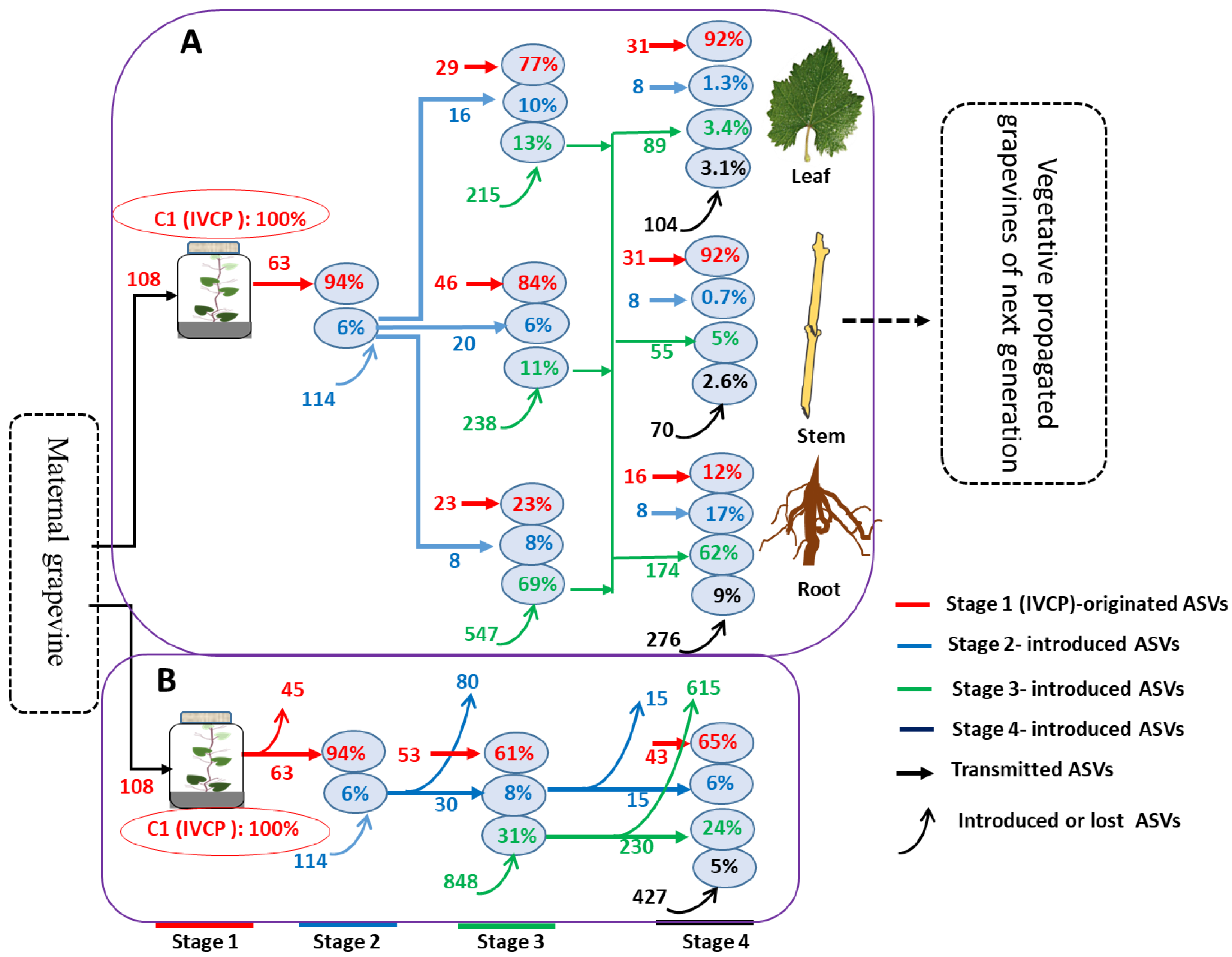 Horticulturae 09 00180 g004