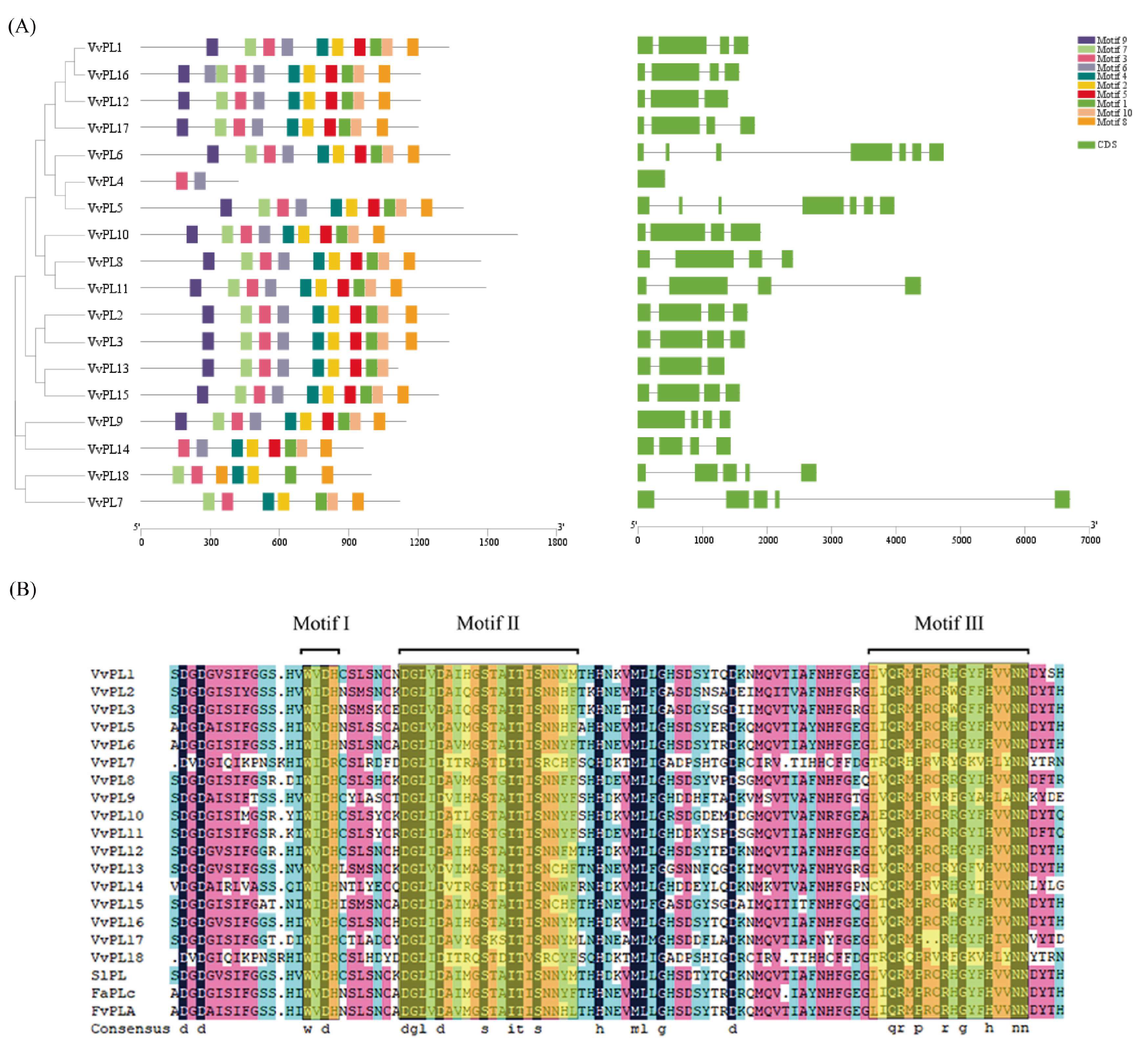 Horticulturae 09 00182 g003
