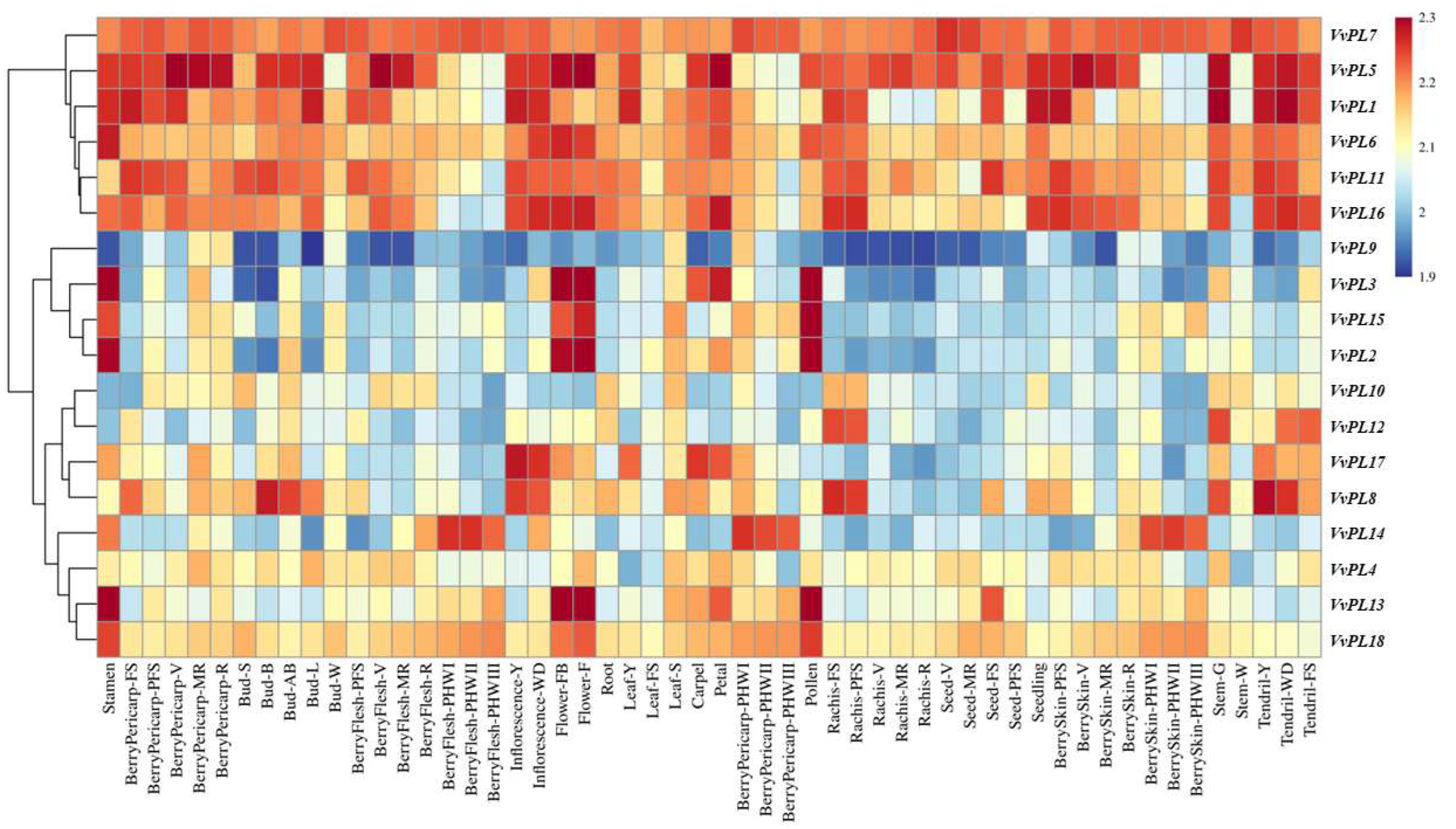 Horticulturae 09 00182 g004