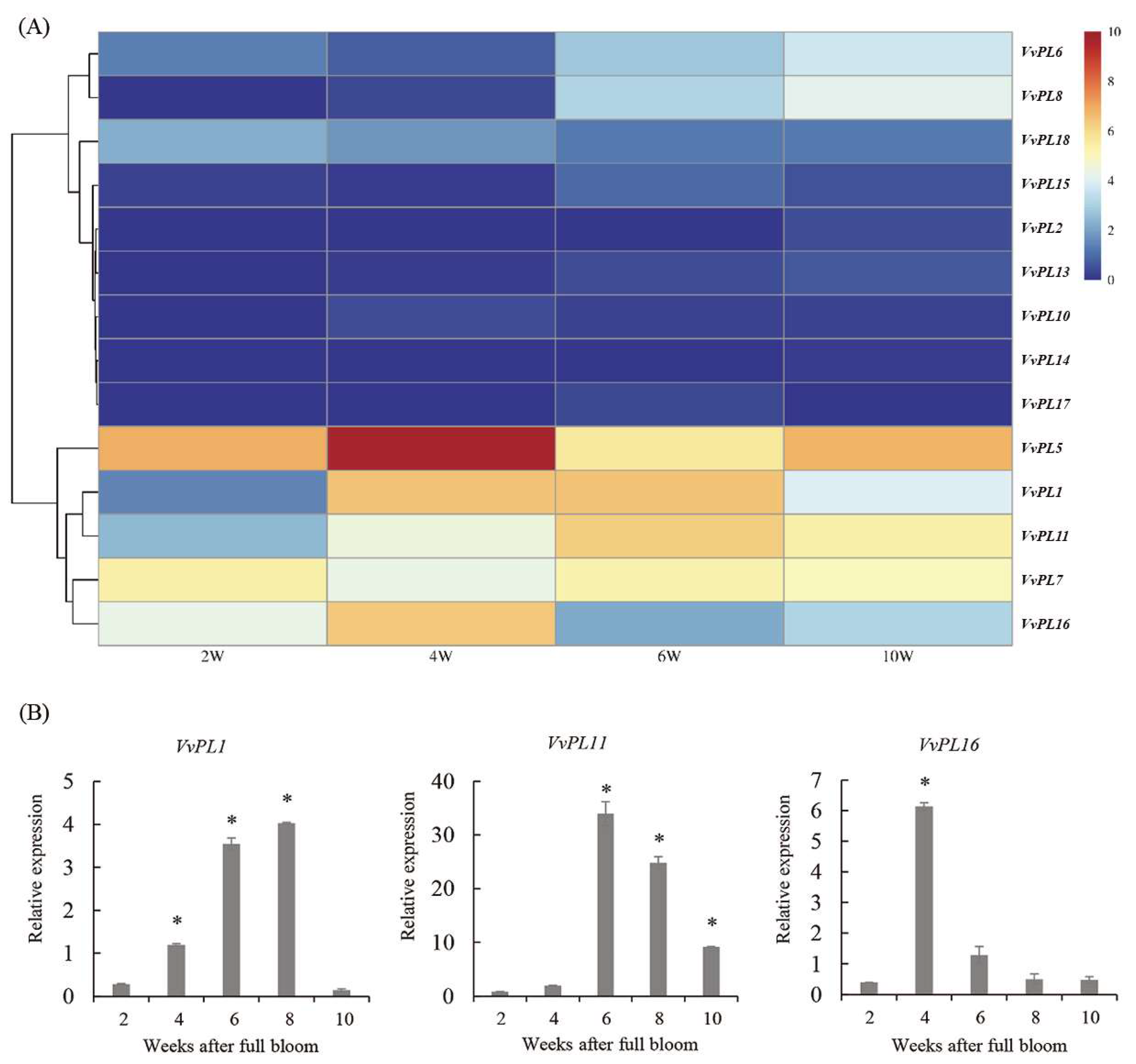 Horticulturae 09 00182 g005