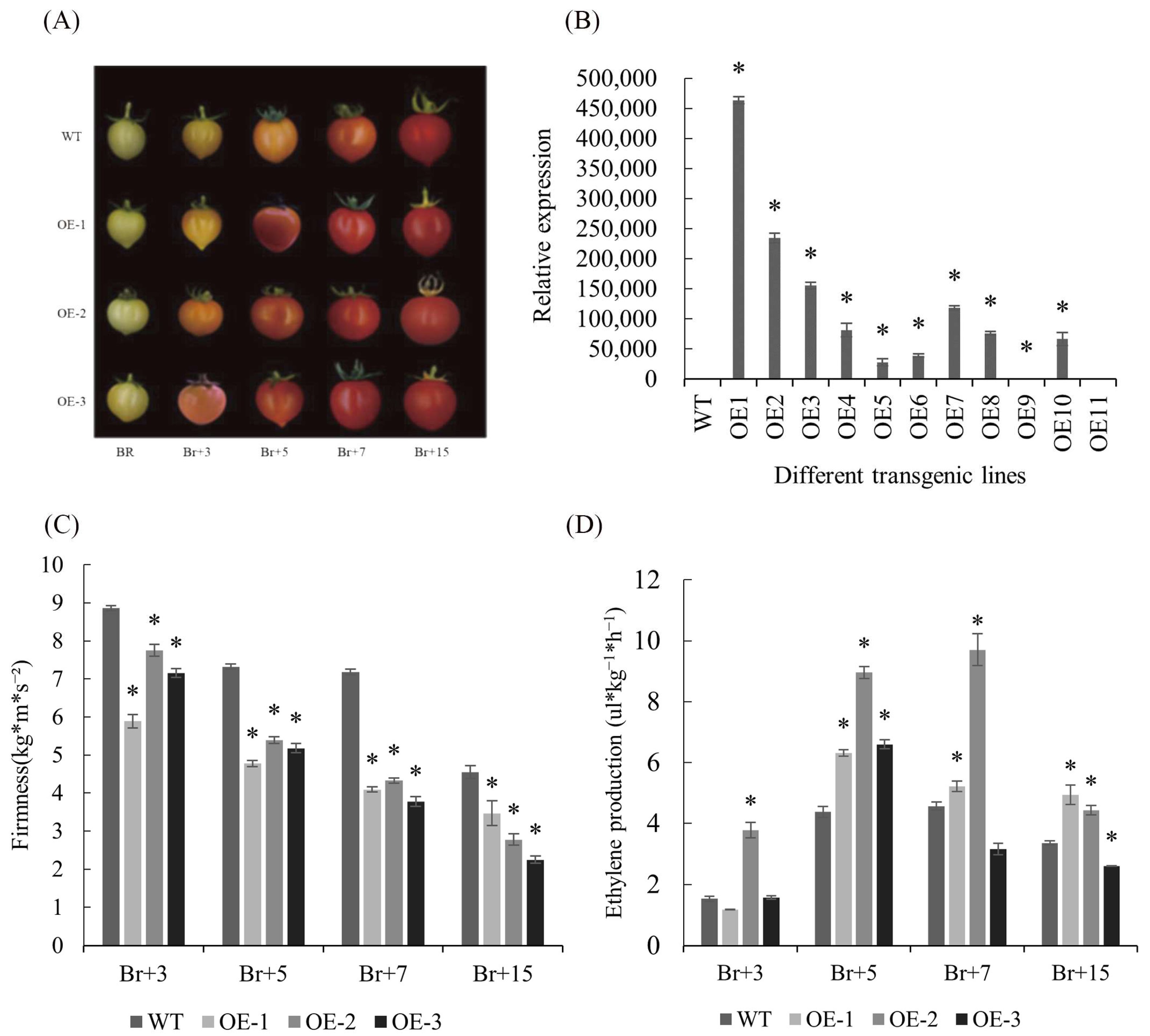 Horticulturae 09 00182 g006