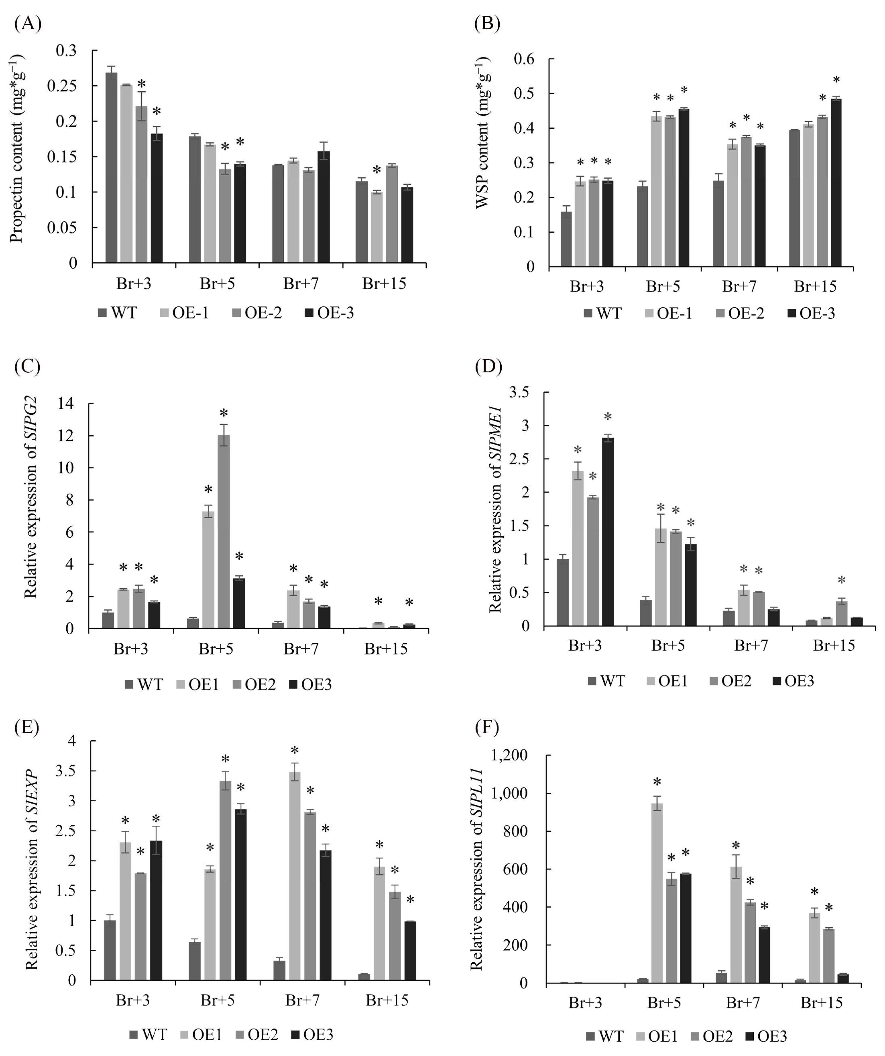Horticulturae 09 00182 g007