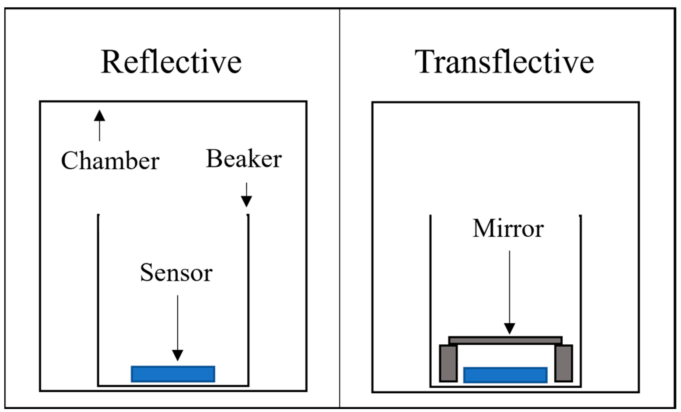Horticulturae 09 00185 g003
