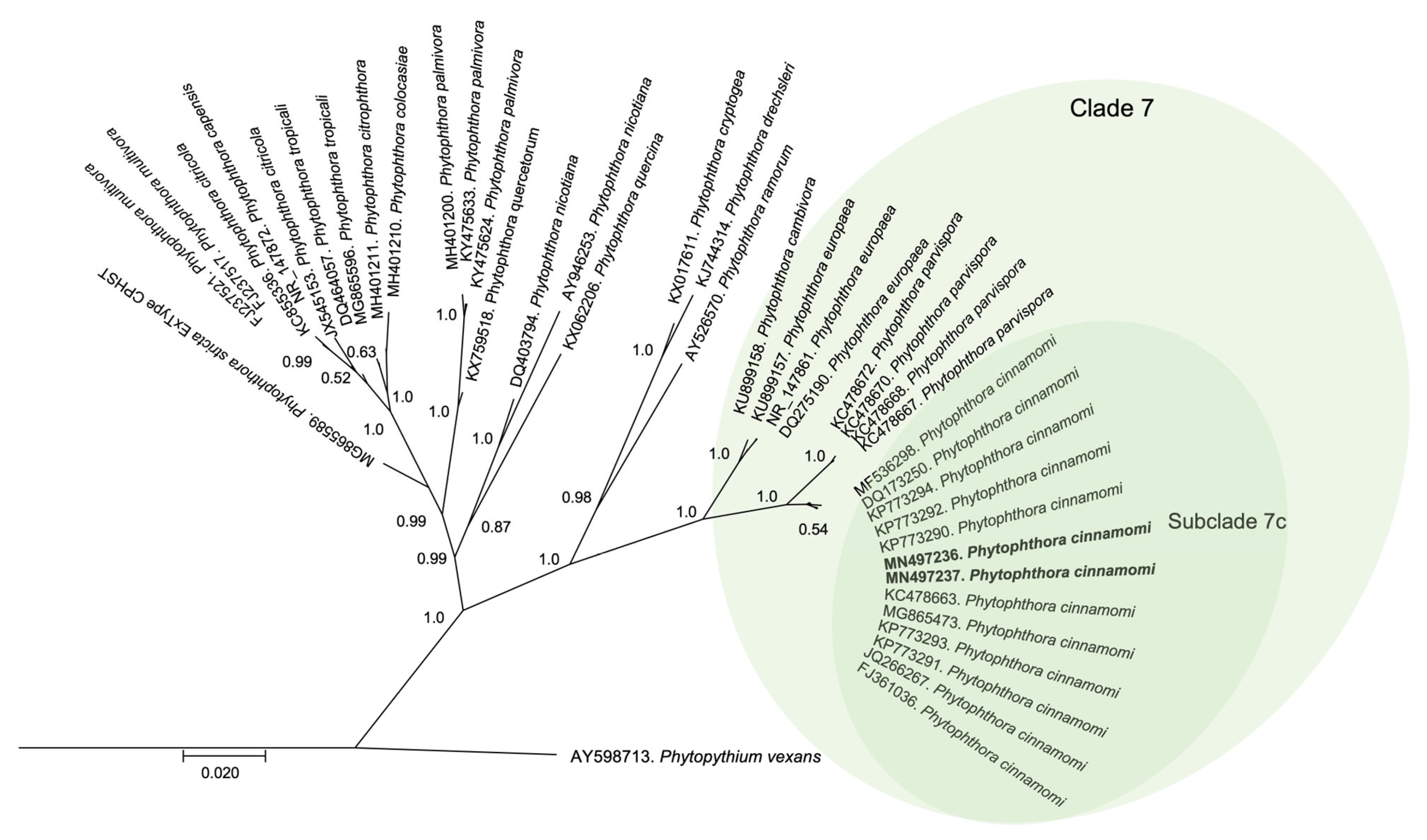 Horticulturae 09 00187 g003 Horticulturae 09 00187 g003
