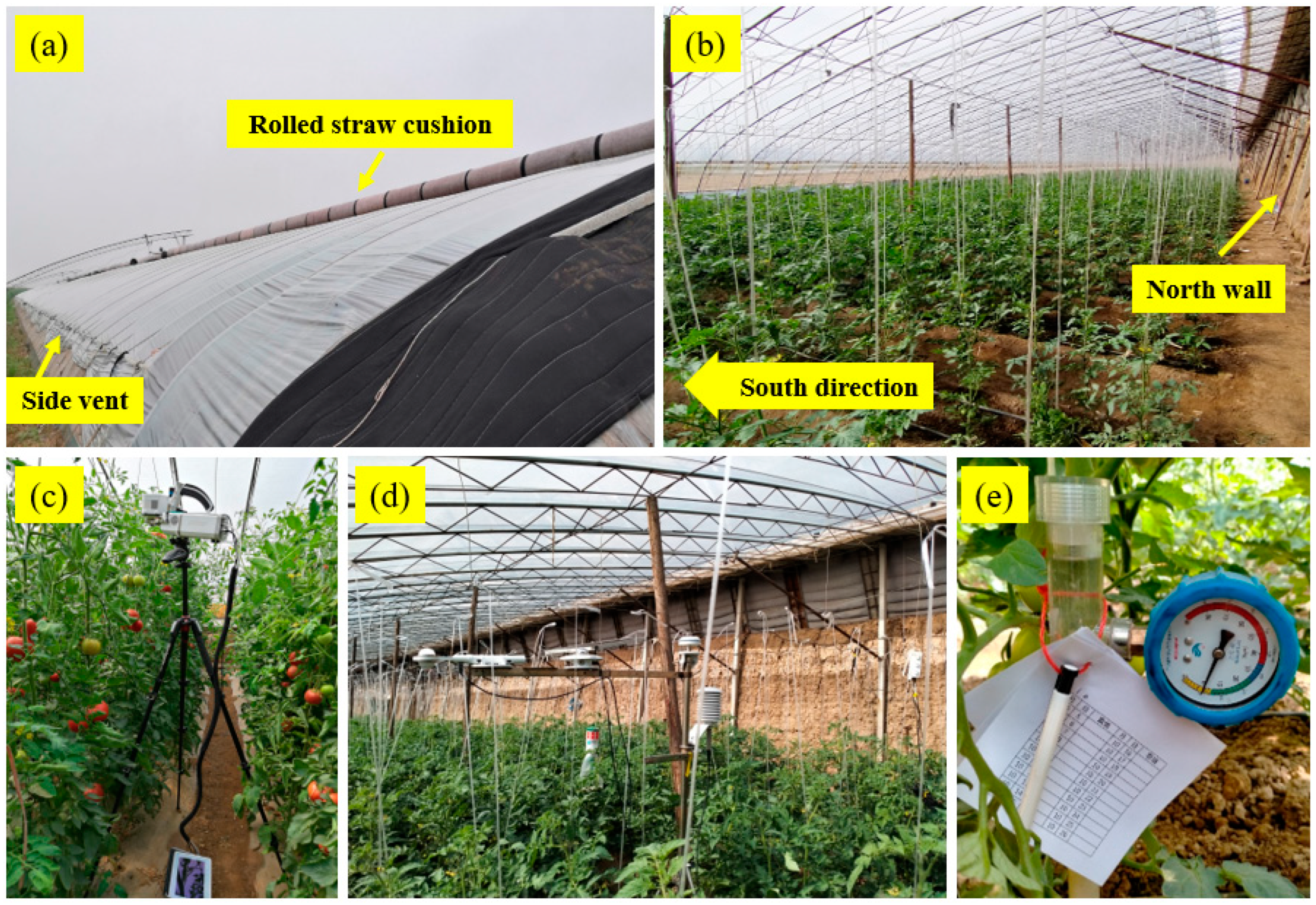 Horticulturae 09 00197 g001 Horticulturae 09 00197 g001