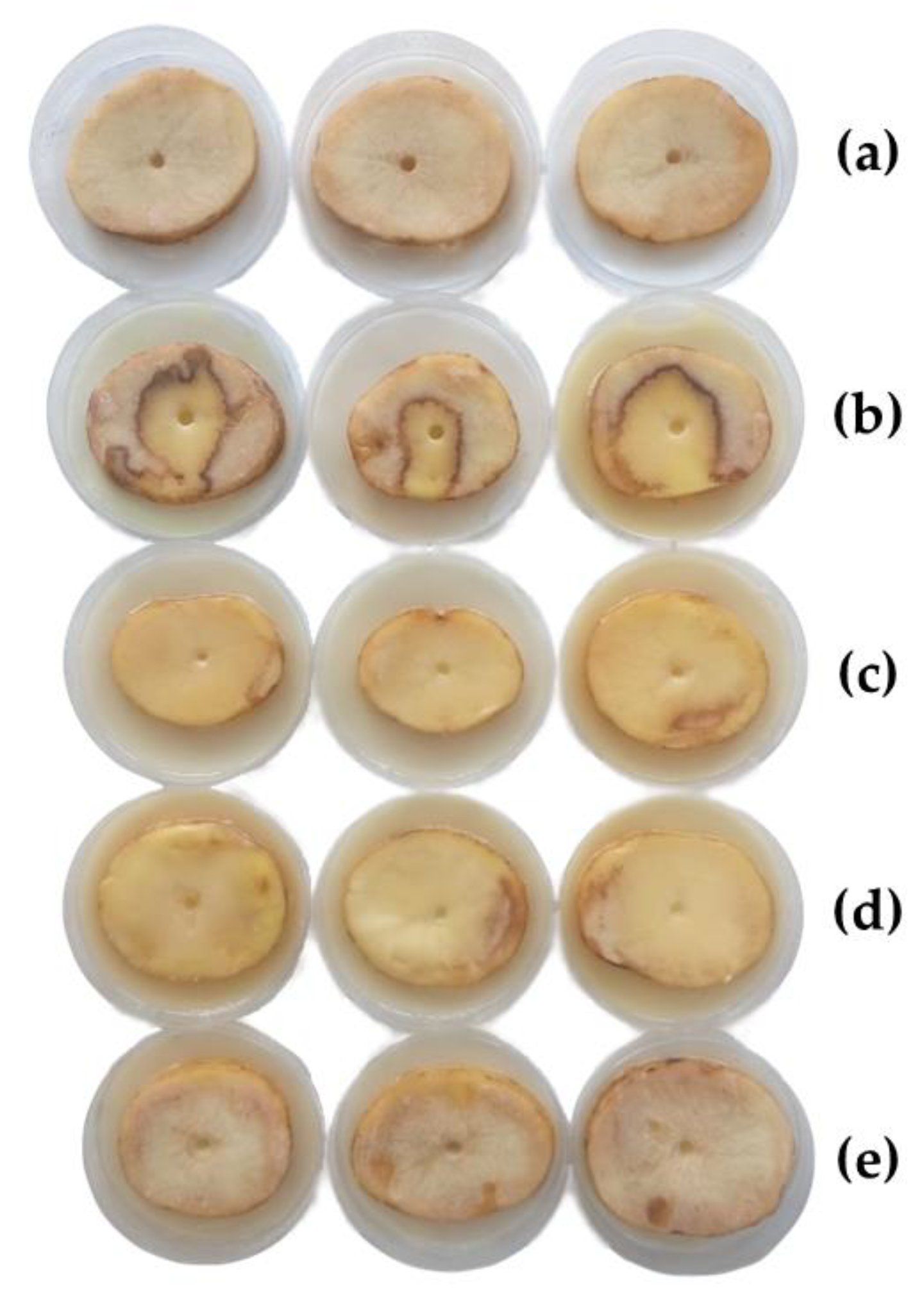 Horticulturae 09 00201 g002