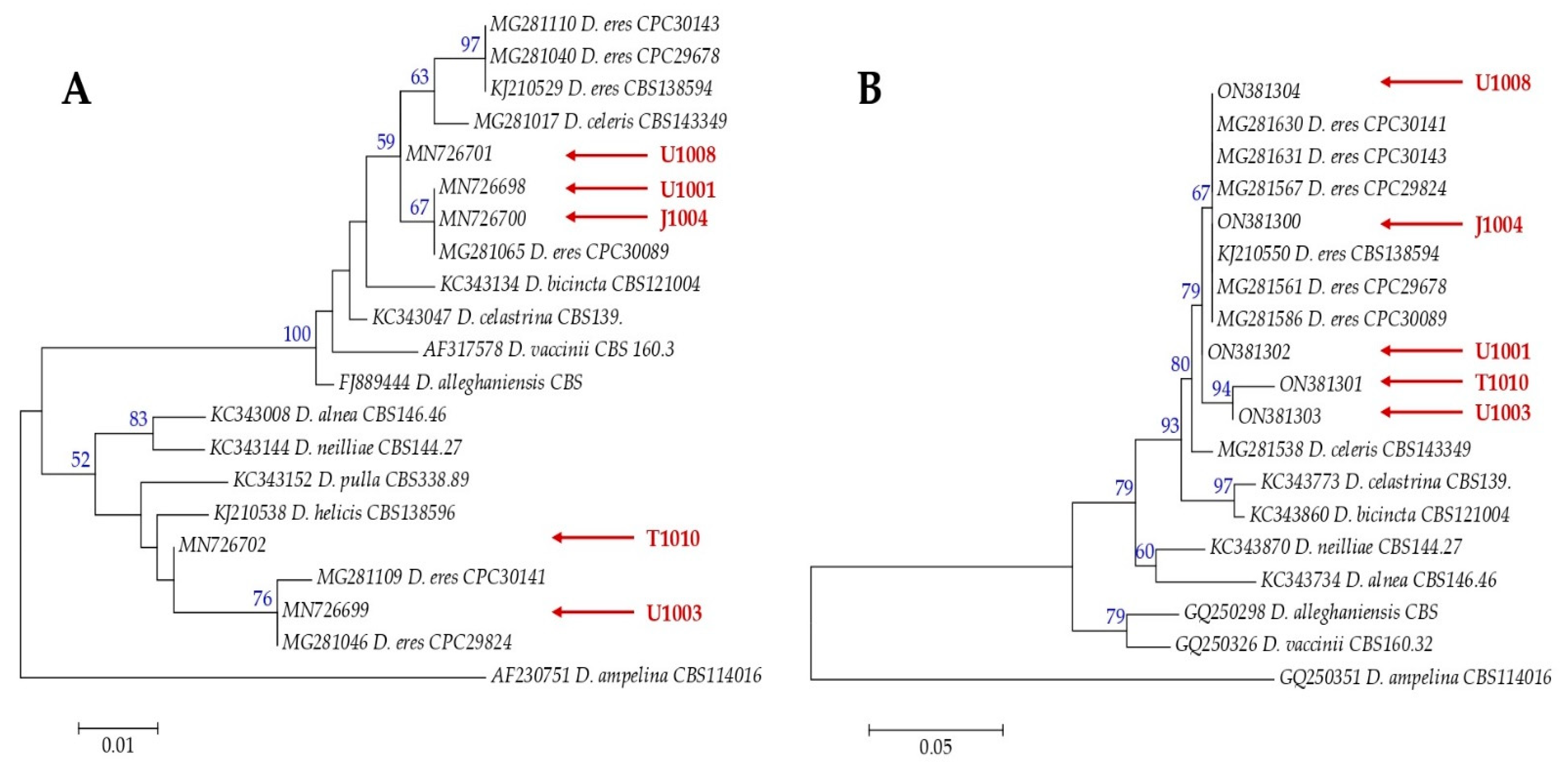 Horticulturae 09 00205 g005 Horticulturae 09 00205 g005