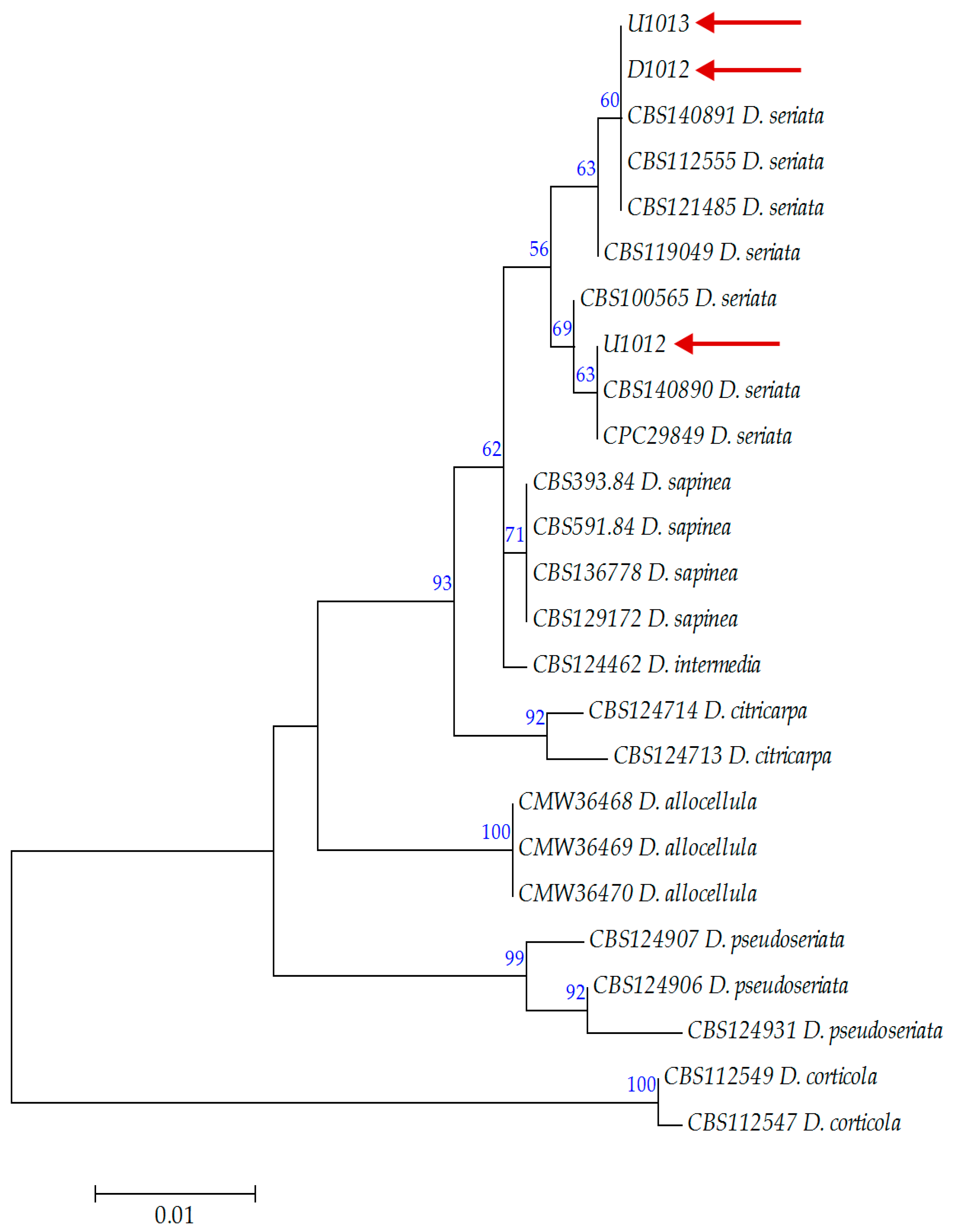 Horticulturae 09 00205 g006 Horticulturae 09 00205 g006