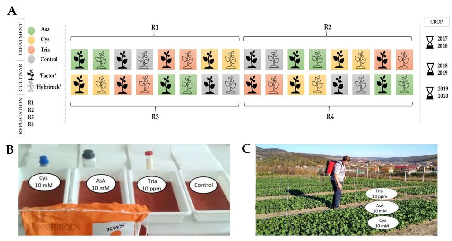 Horticulturae 09 00207 g001