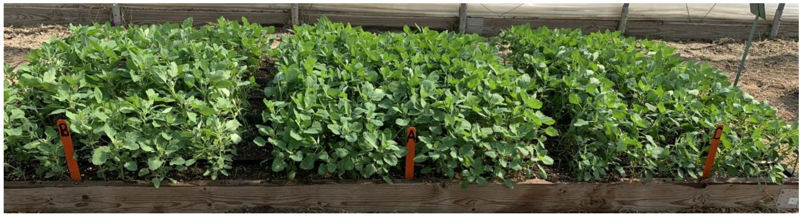 Horticulturae 09 00209 g001 Horticulturae 09 00209 g001