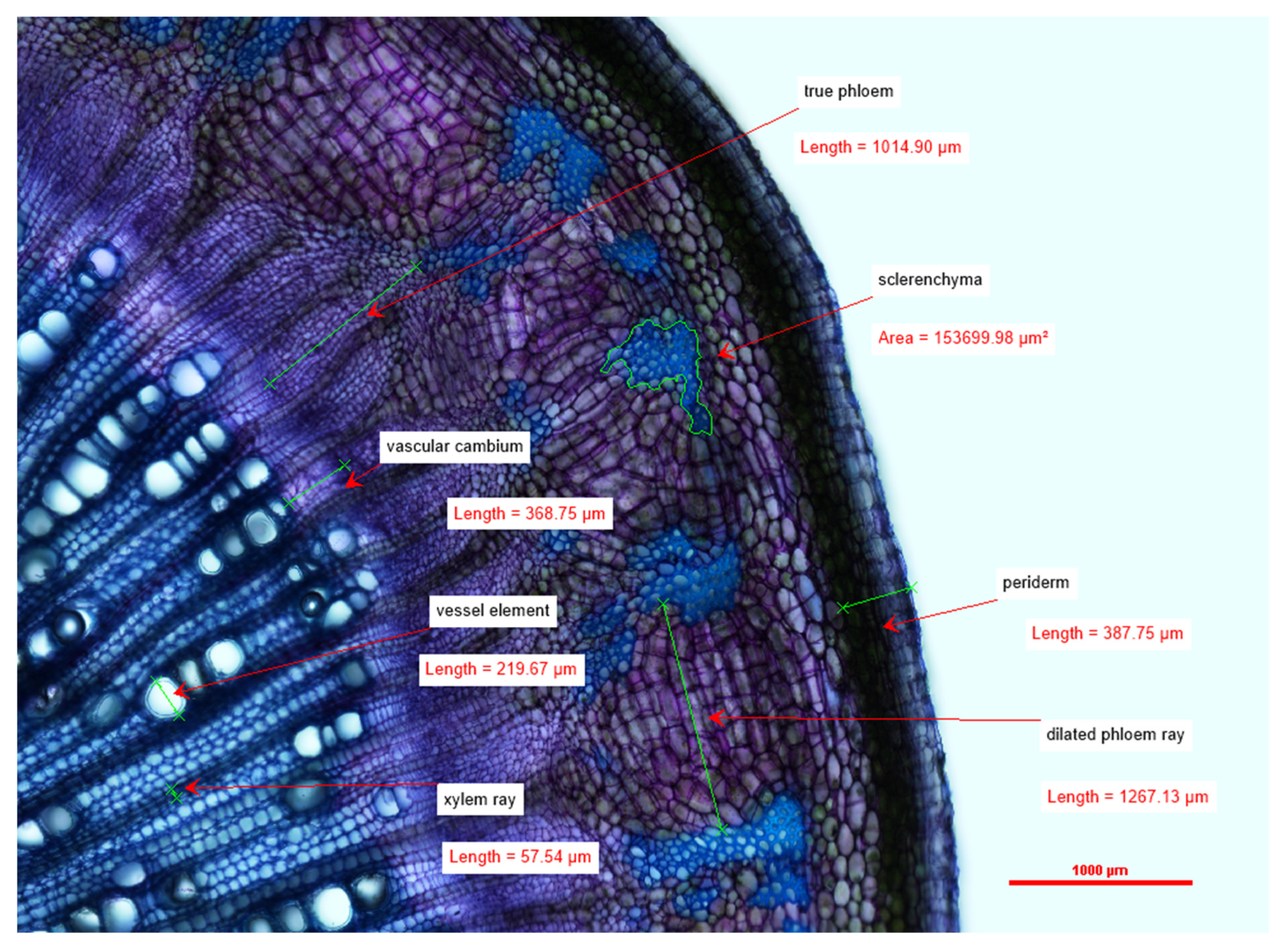 Horticulturae 09 00213 g001