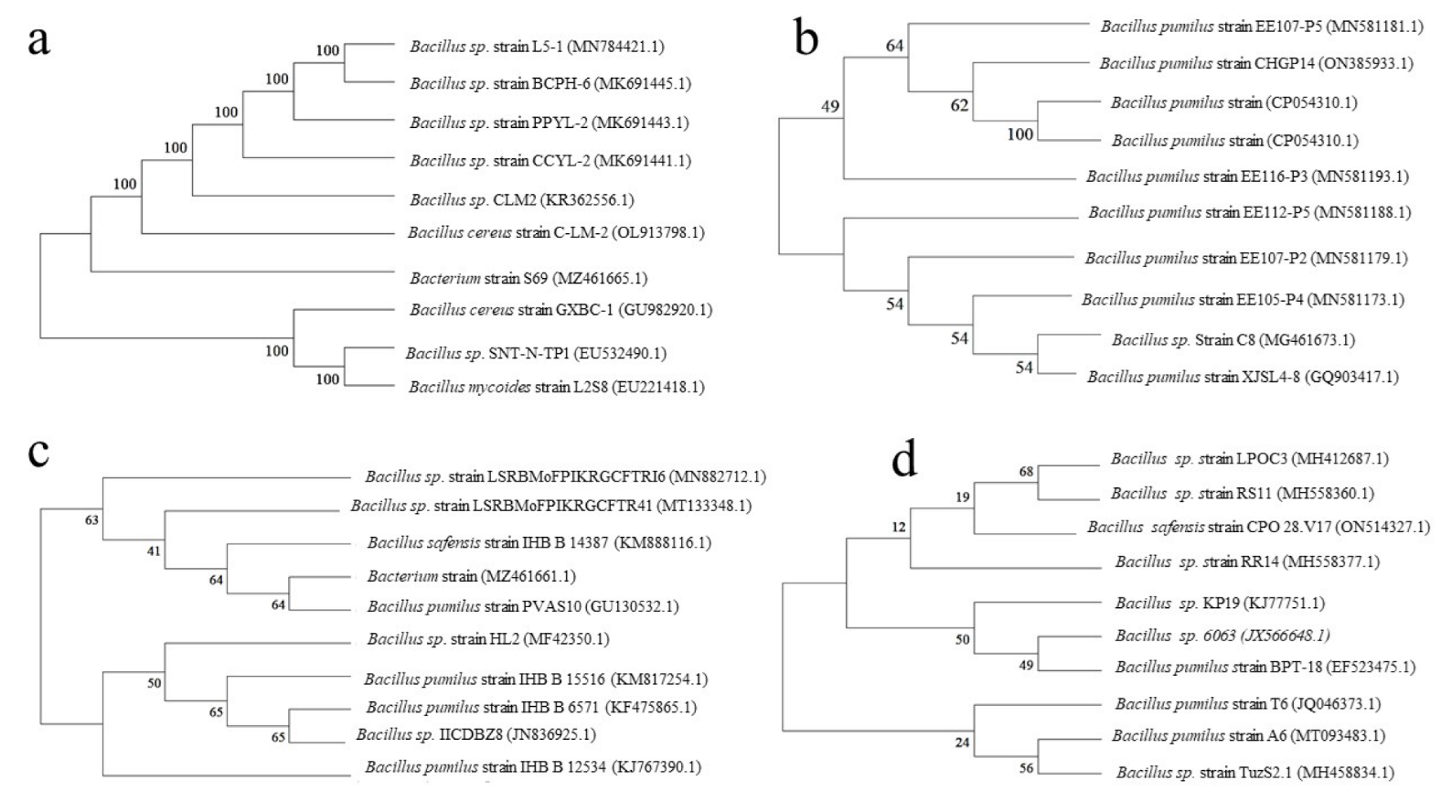 Horticulturae 09 00214 g004