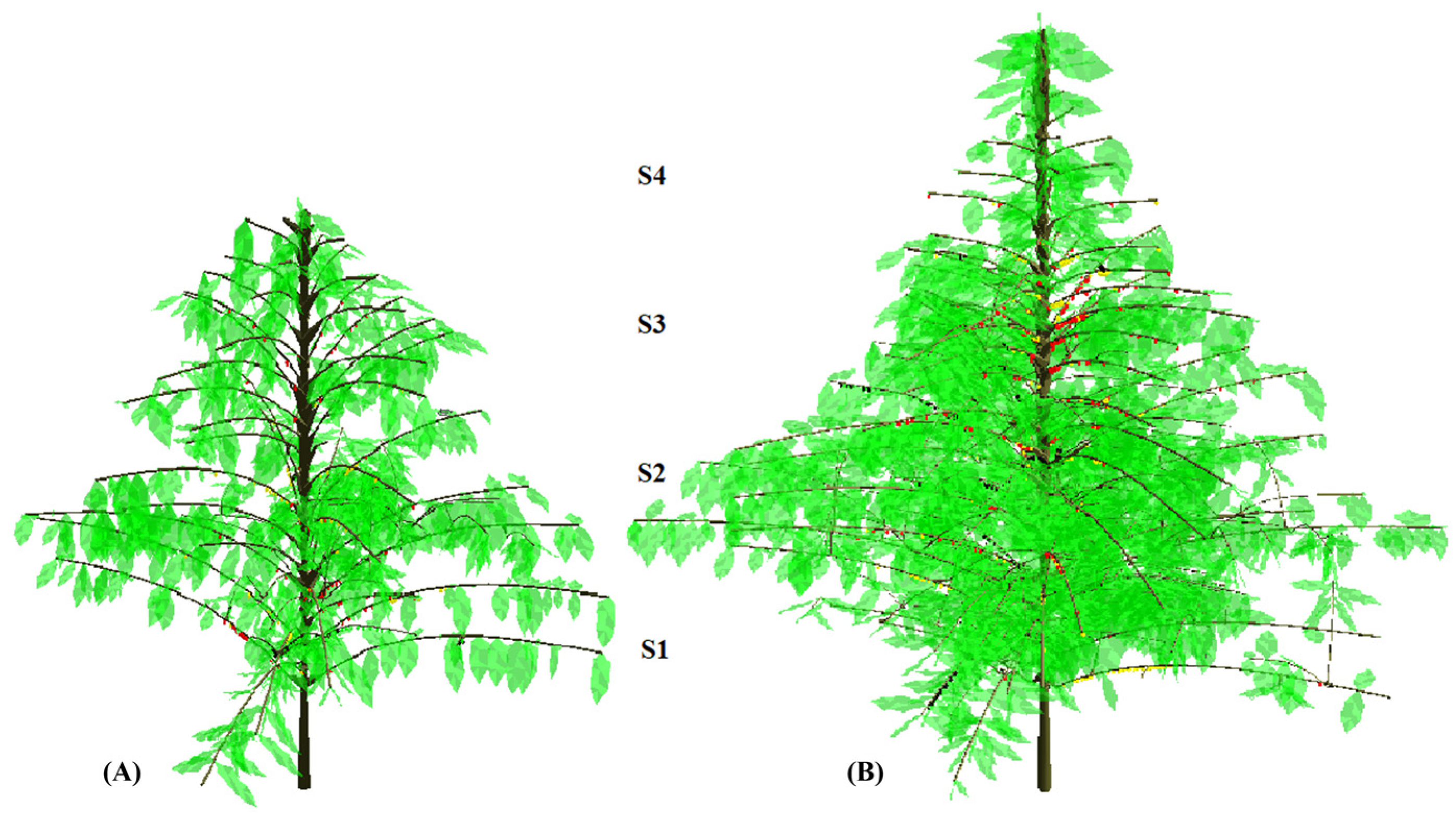 Horticulturae 09 00215 g001