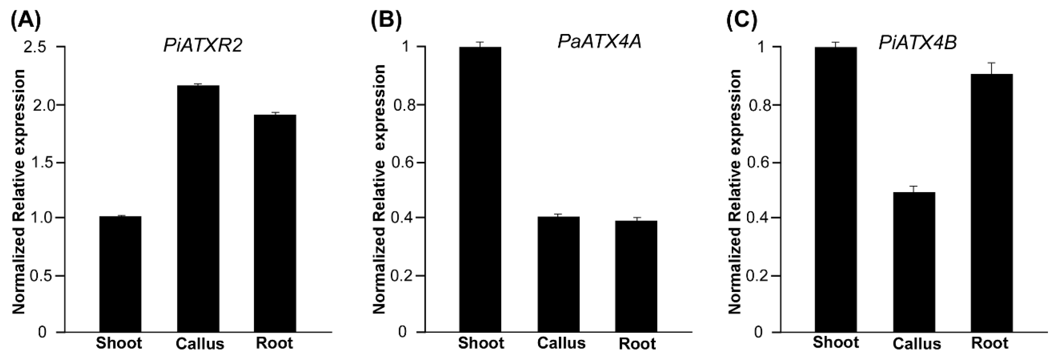 Horticulturae 09 00216 g004 Horticulturae 09 00216 g004