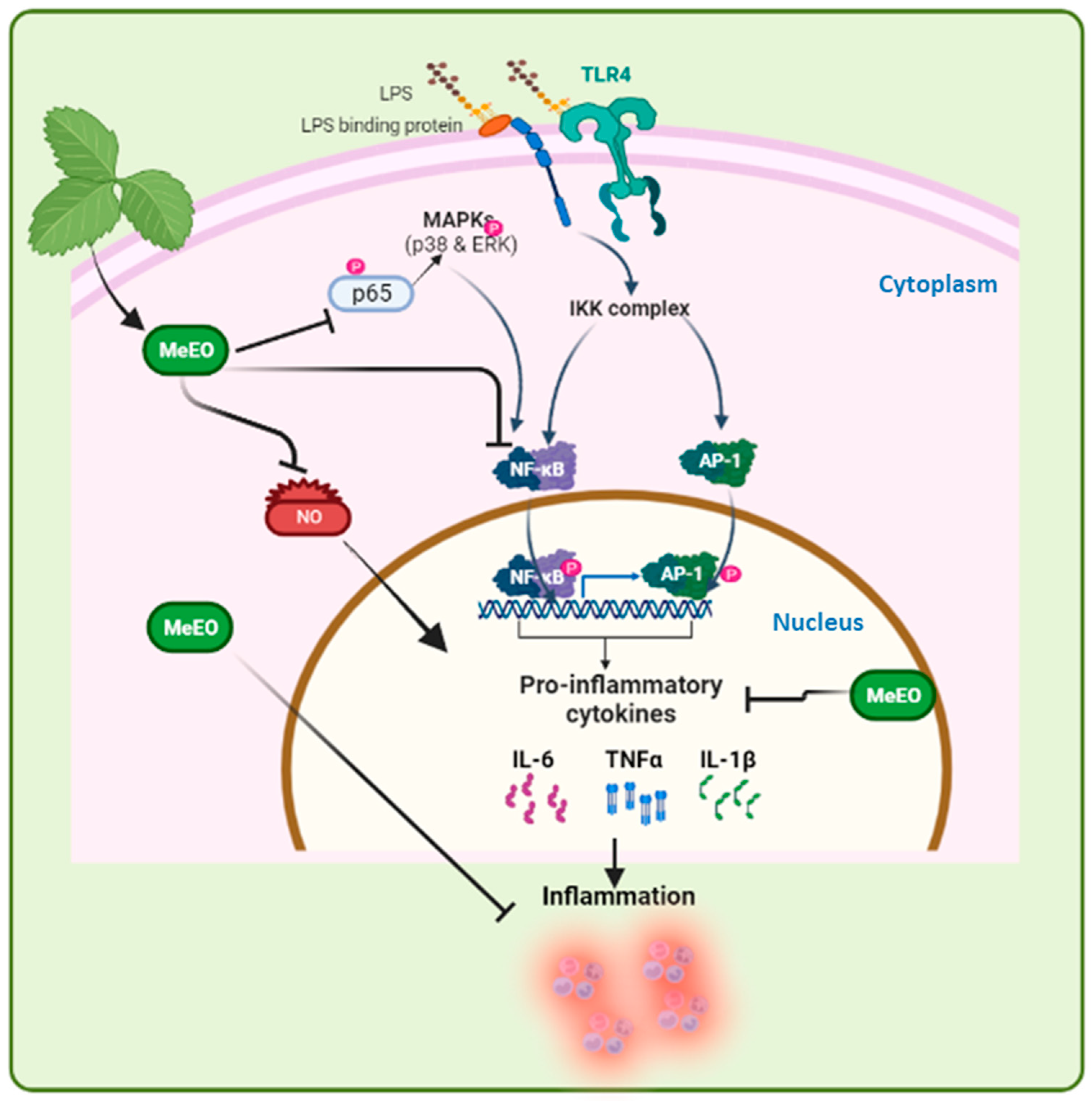 Horticulturae 09 00224 g001