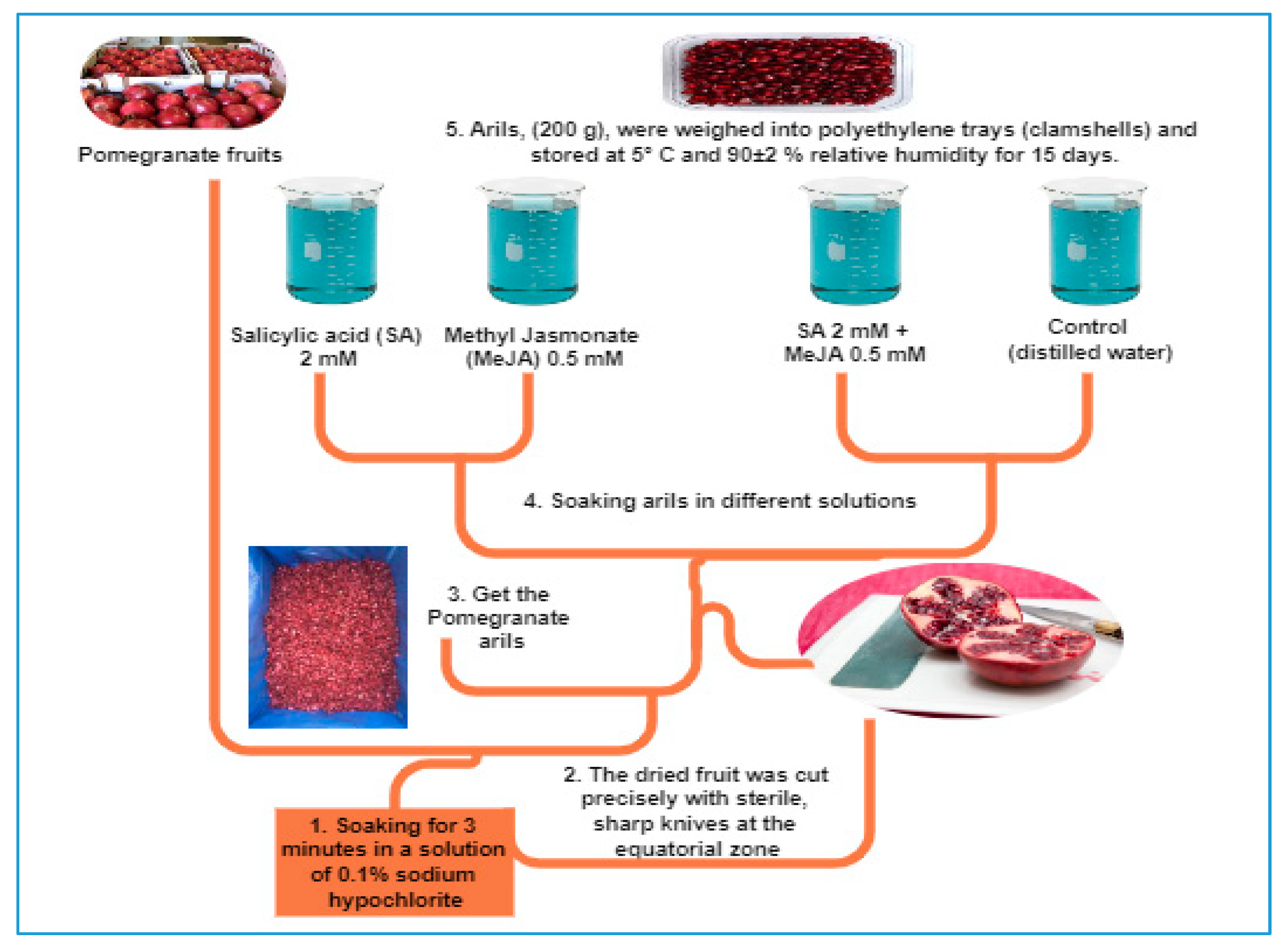 Horticulturae 09 00225 g001