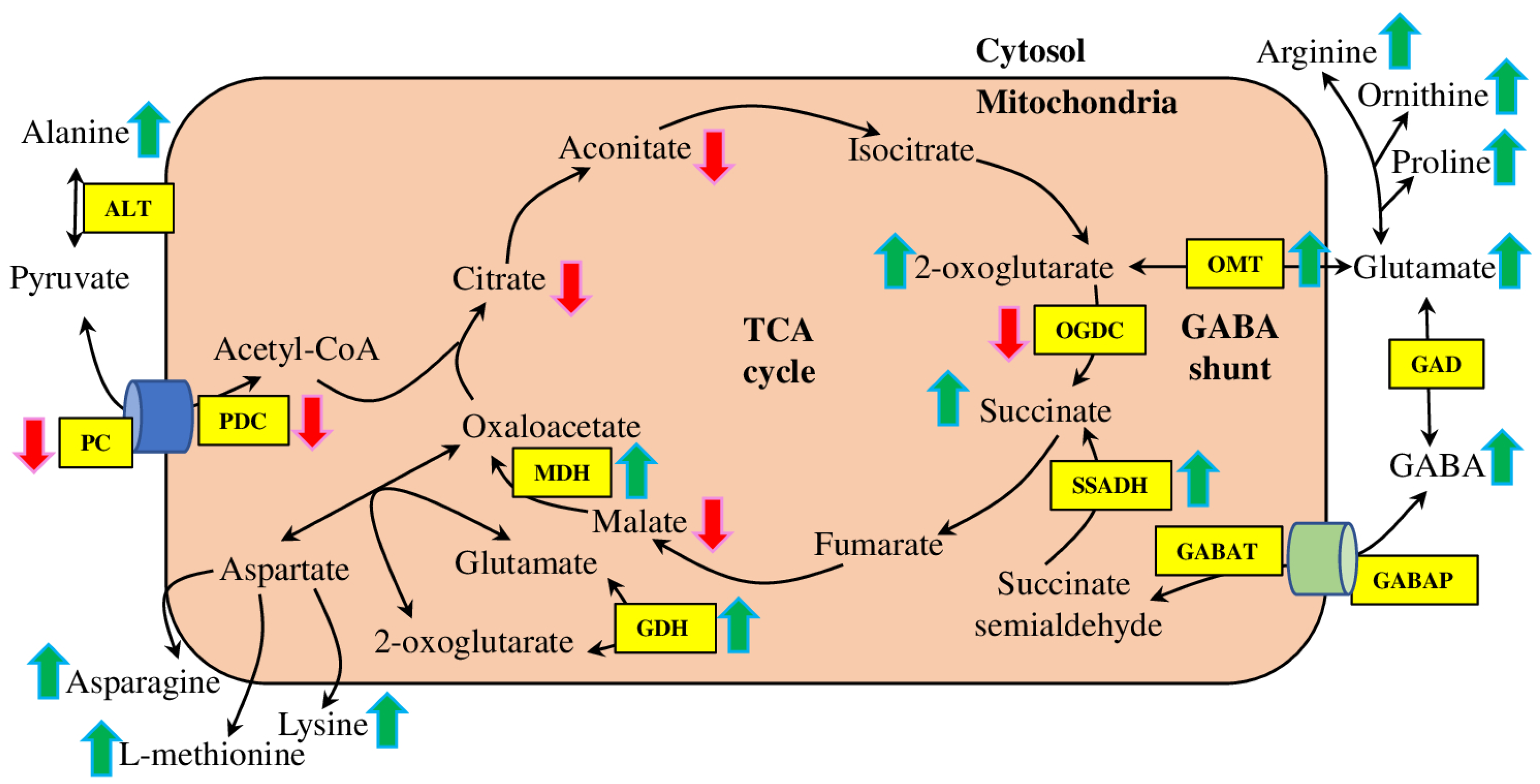 Horticulturae 09 00230 g002 550