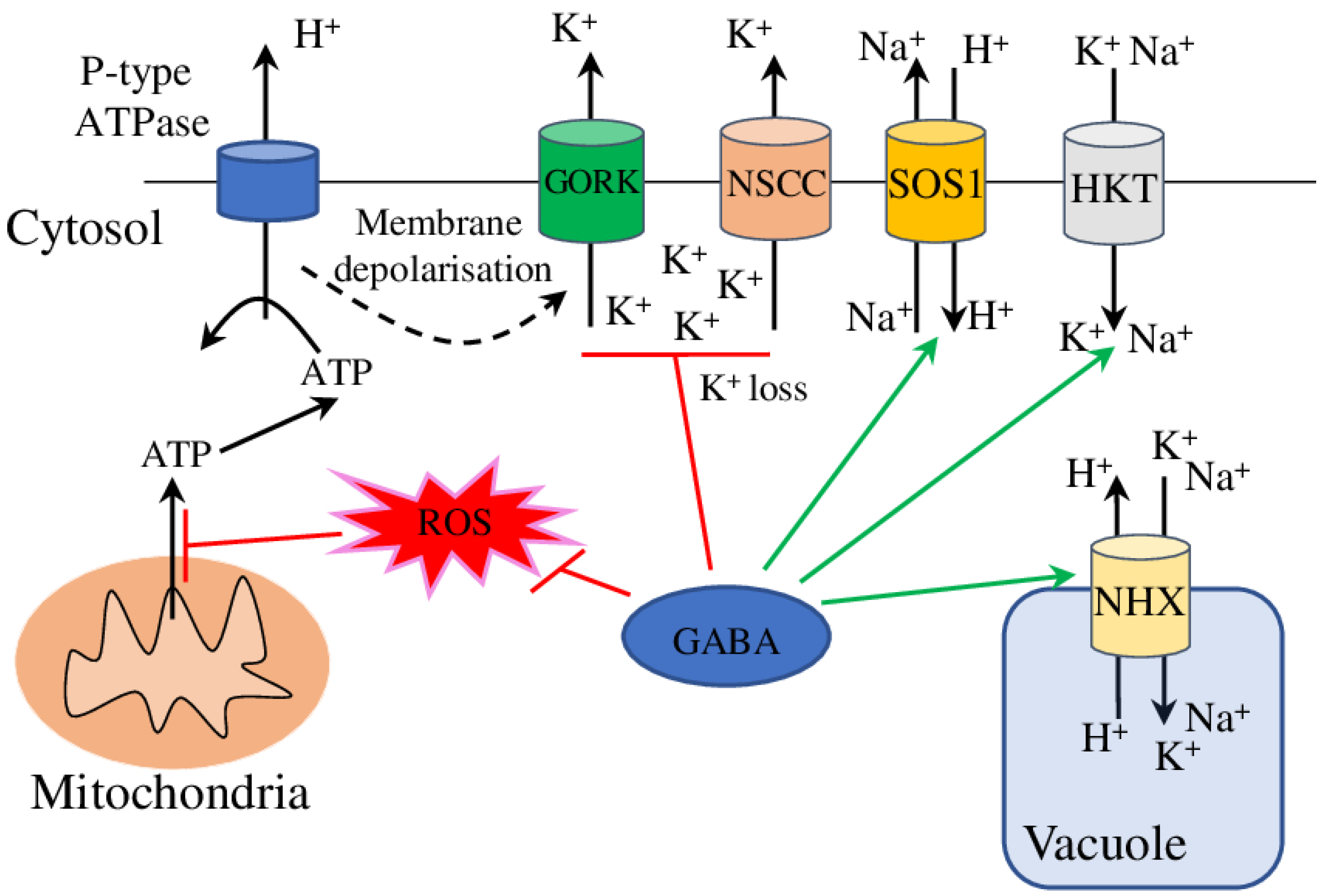 Horticulturae 09 00230 g004 550