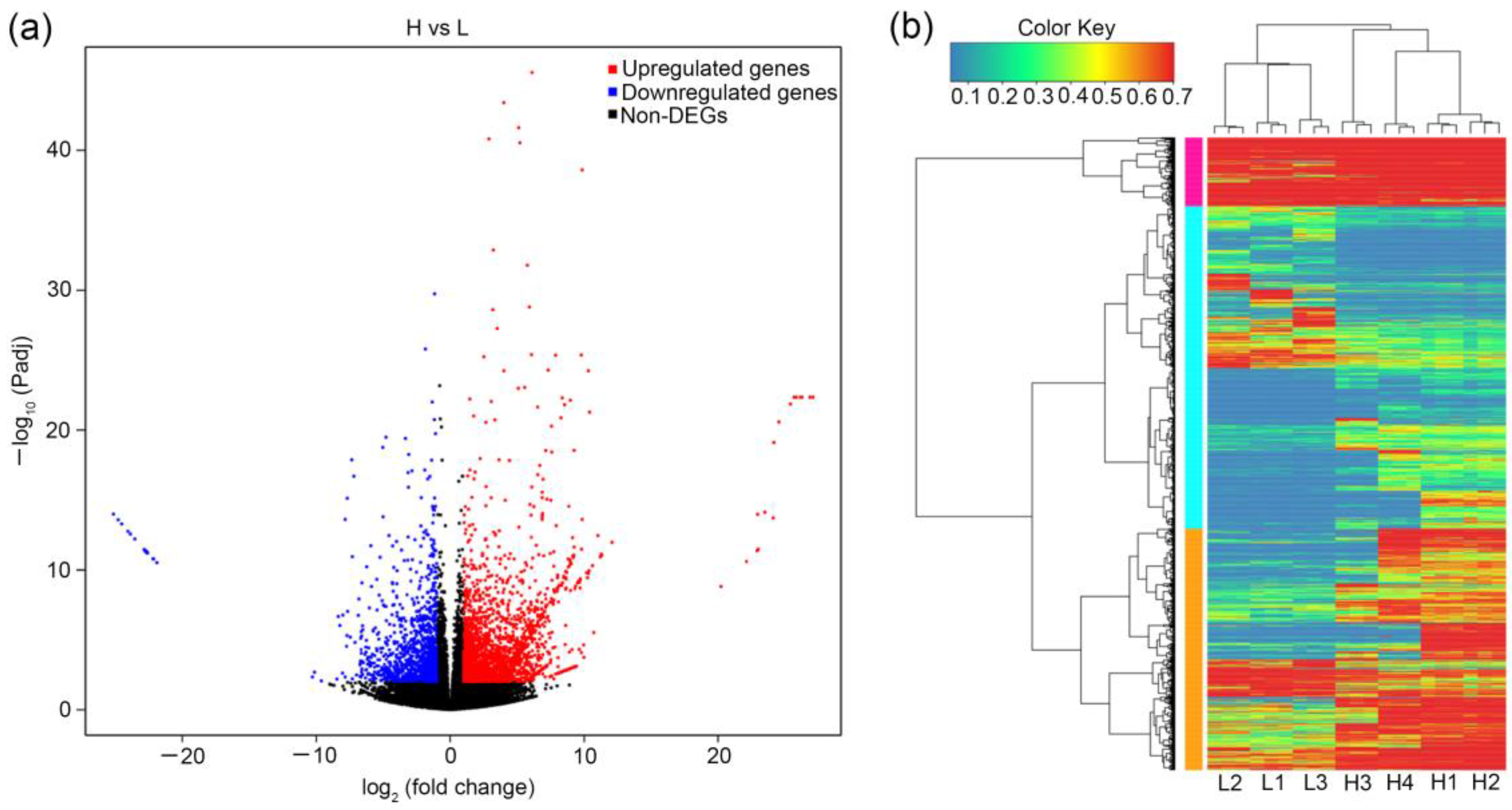 Horticulturae 09 00232 g002 550