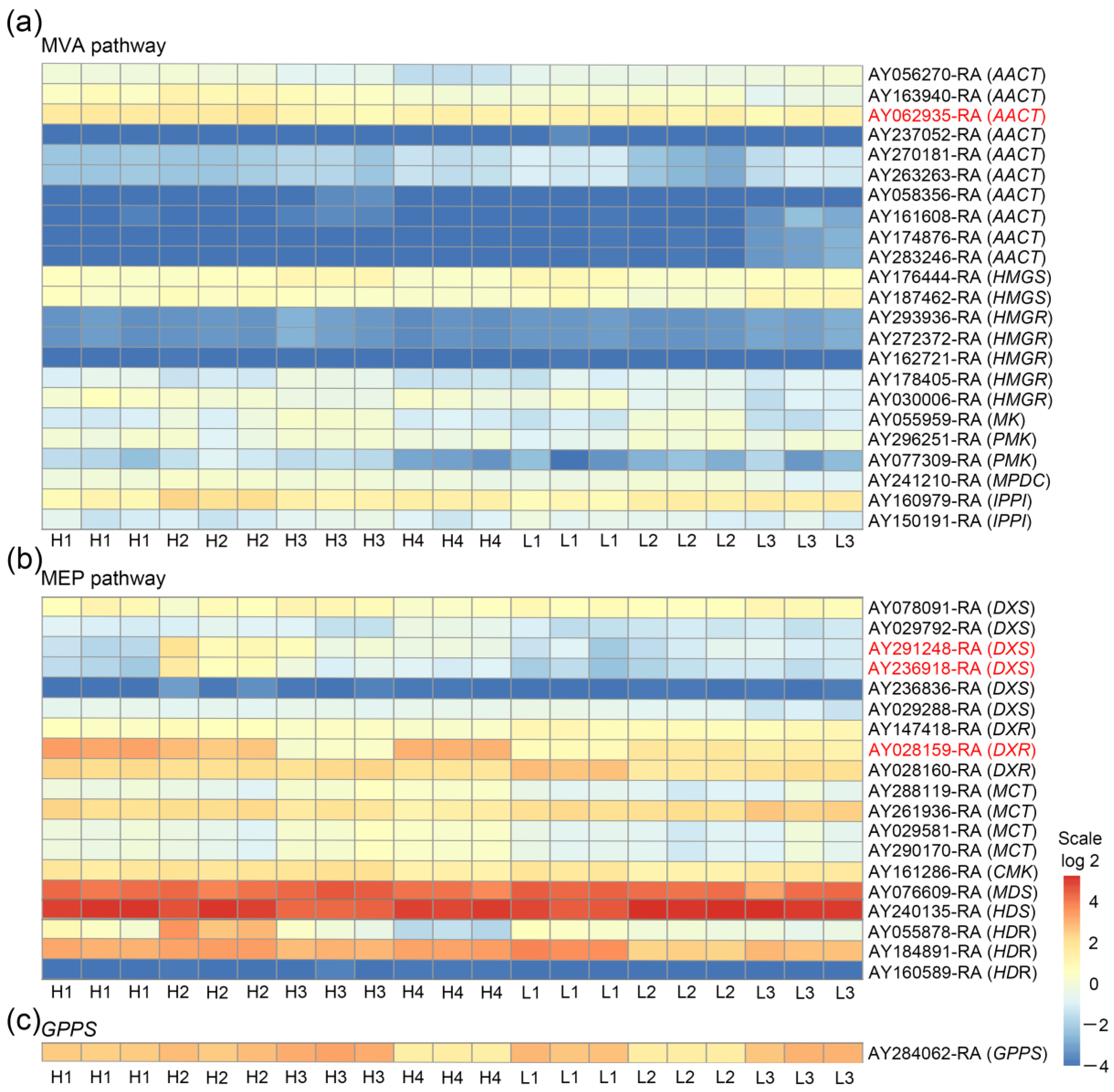 Horticulturae 09 00232 g003 550