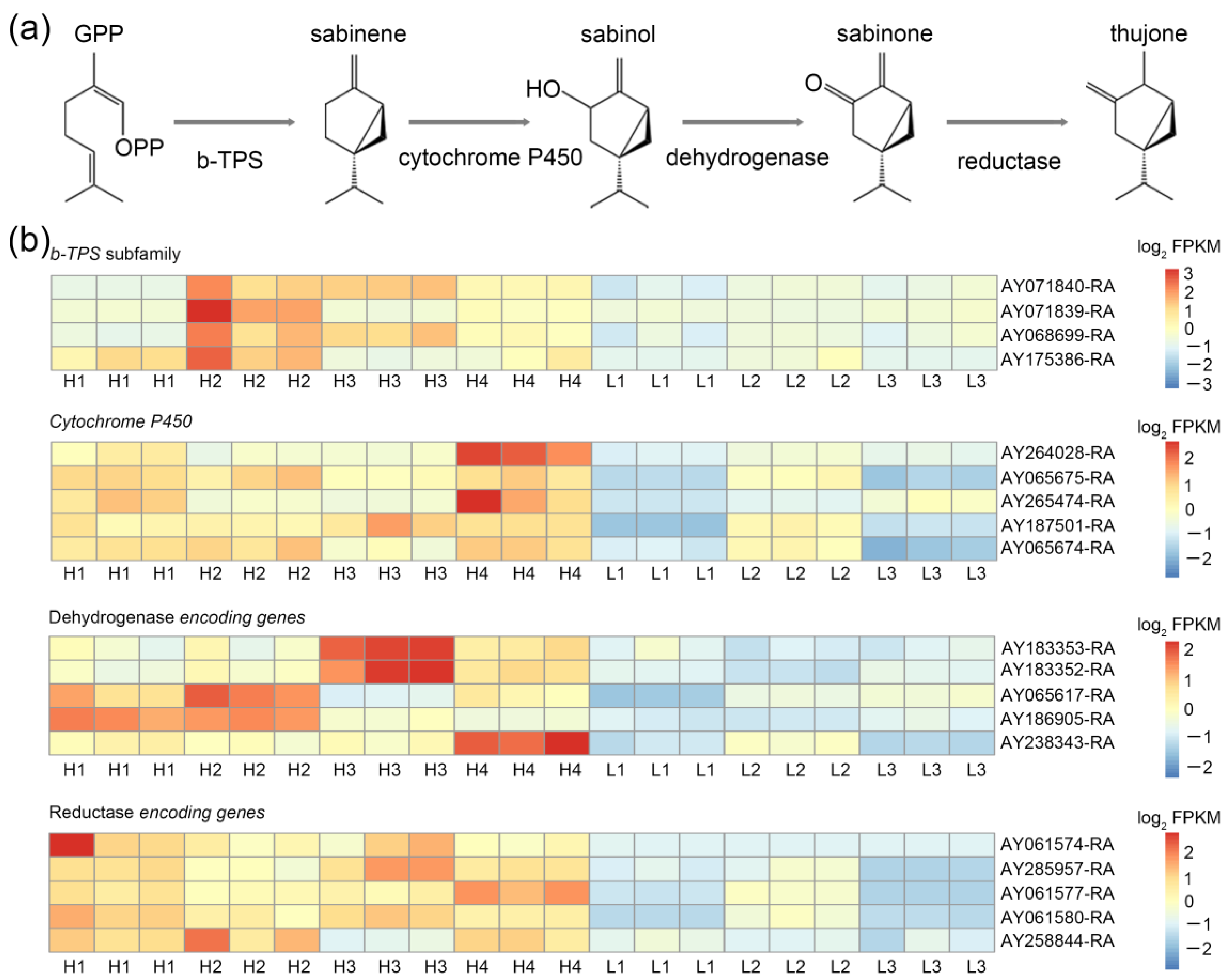 Horticulturae 09 00232 g004 550