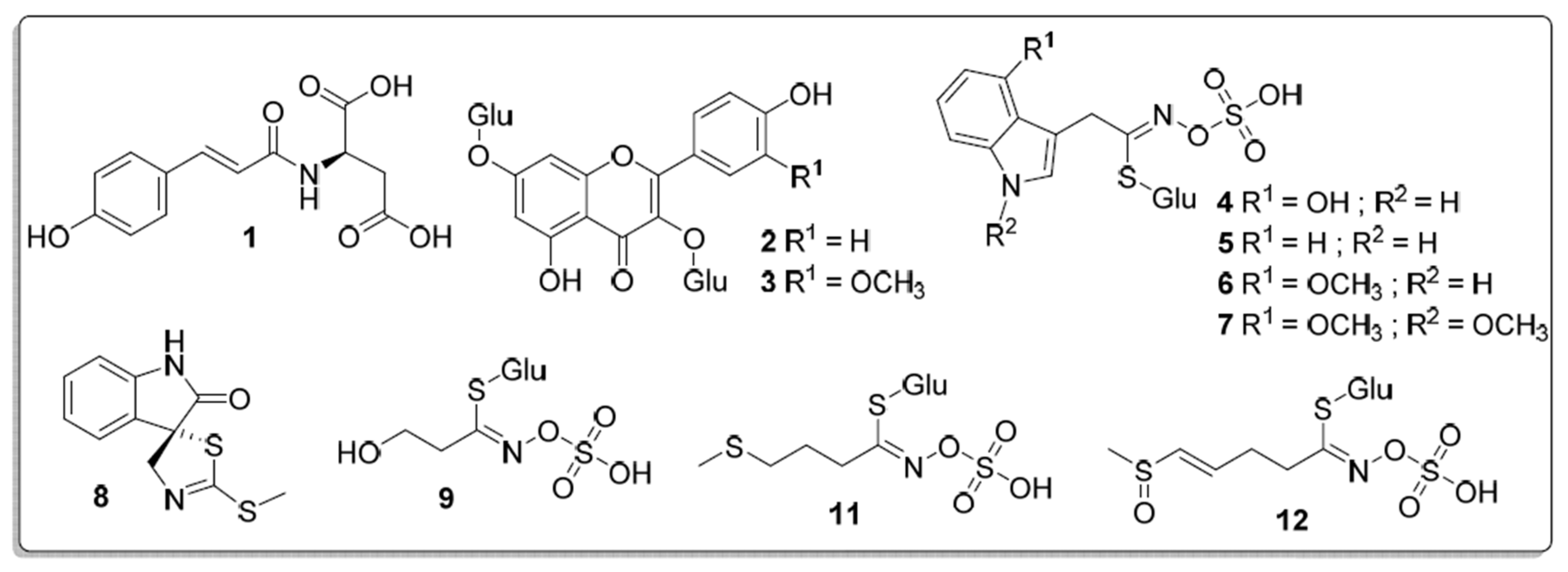 Horticulturae 09 00235 g0a1 Horticulturae 09 00235 g0a1