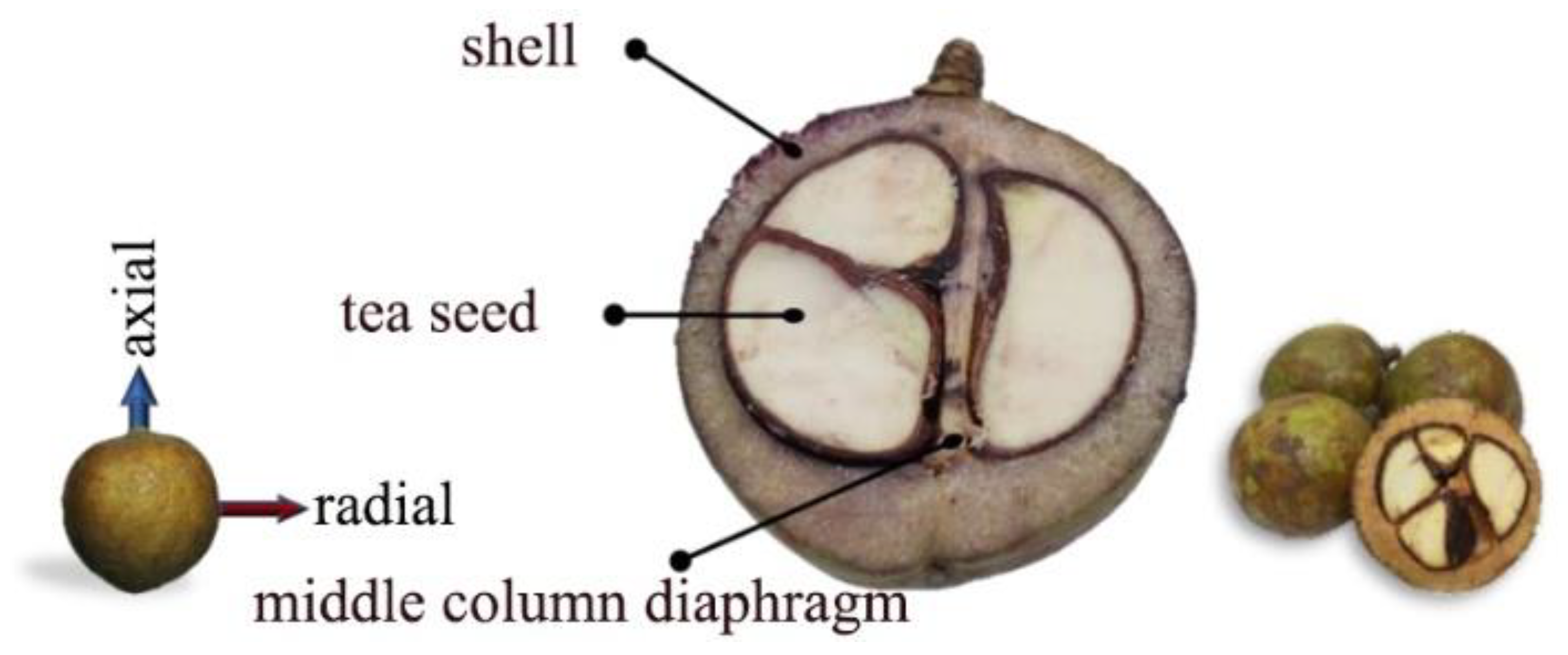 Horticulturae 09 00236 g002
