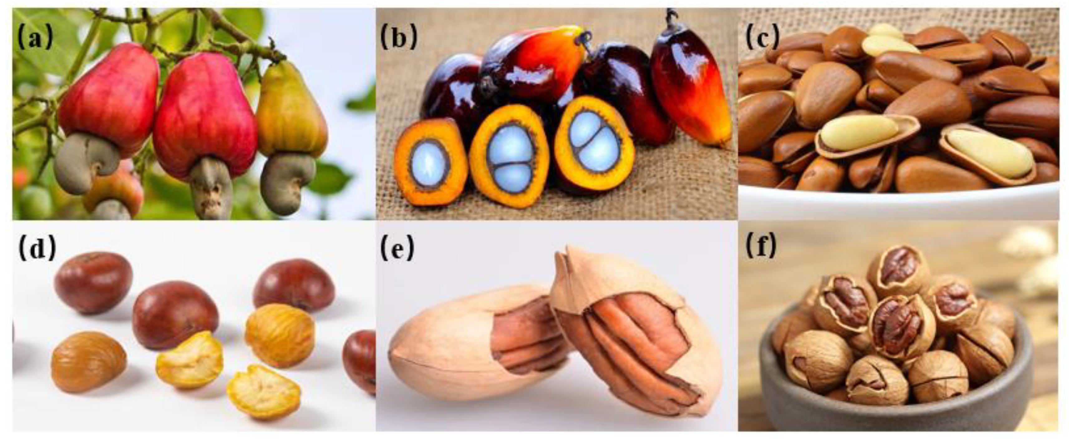 Horticulturae 09 00236 g003