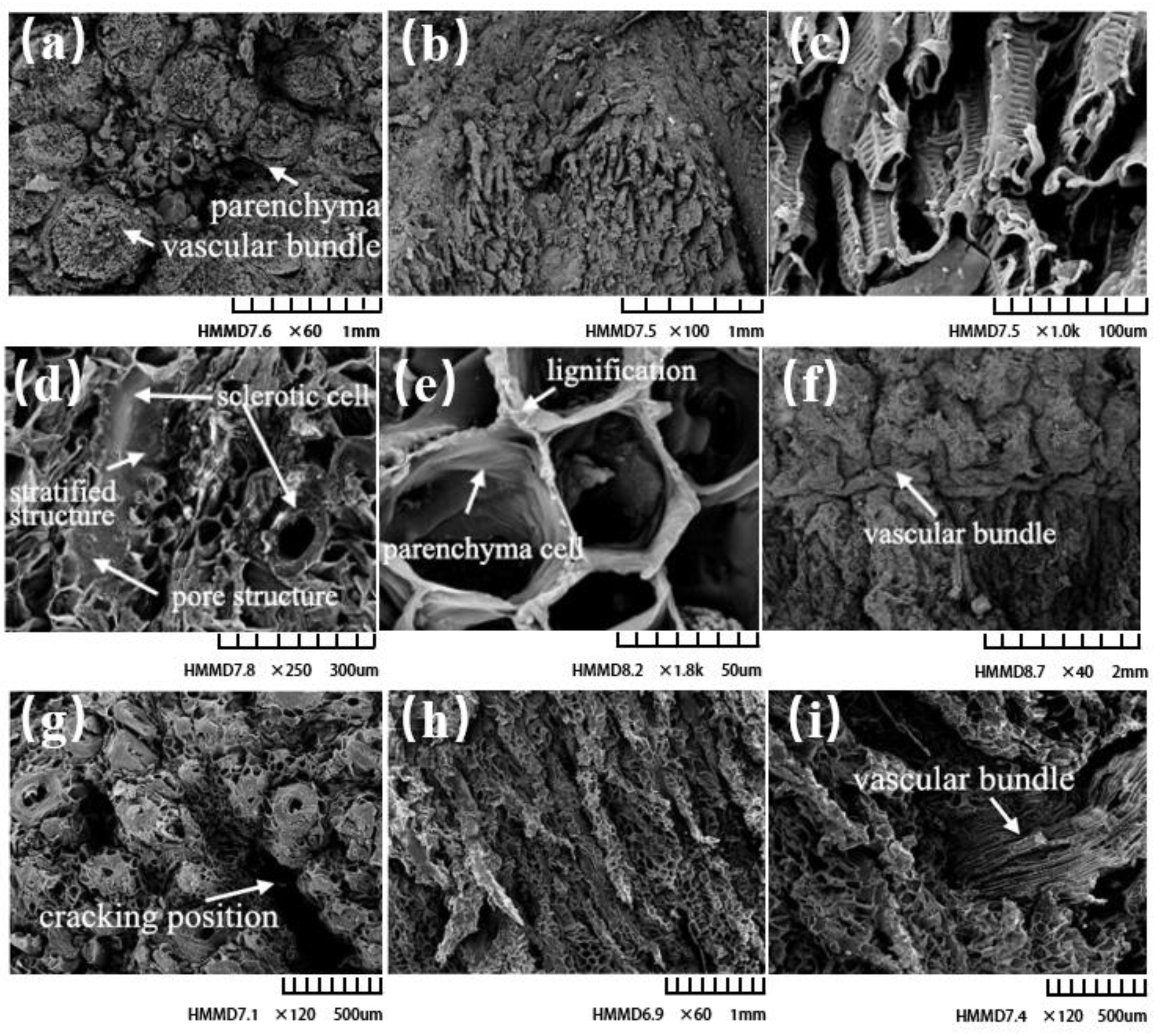 Horticulturae 09 00236 g006