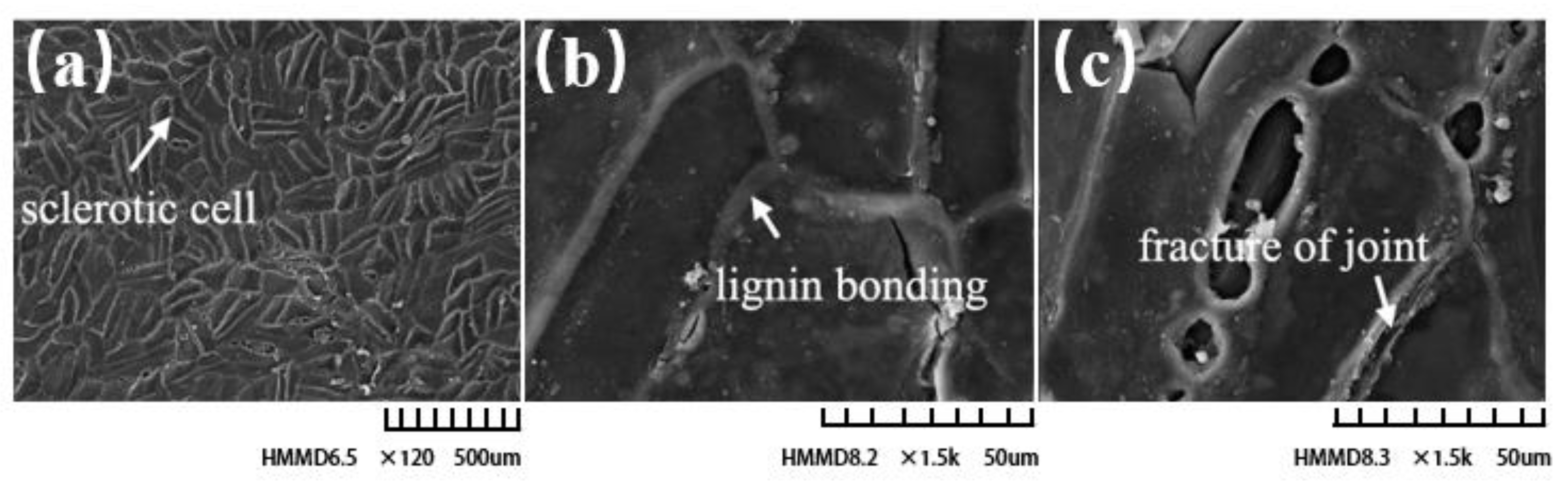 Horticulturae 09 00236 g007